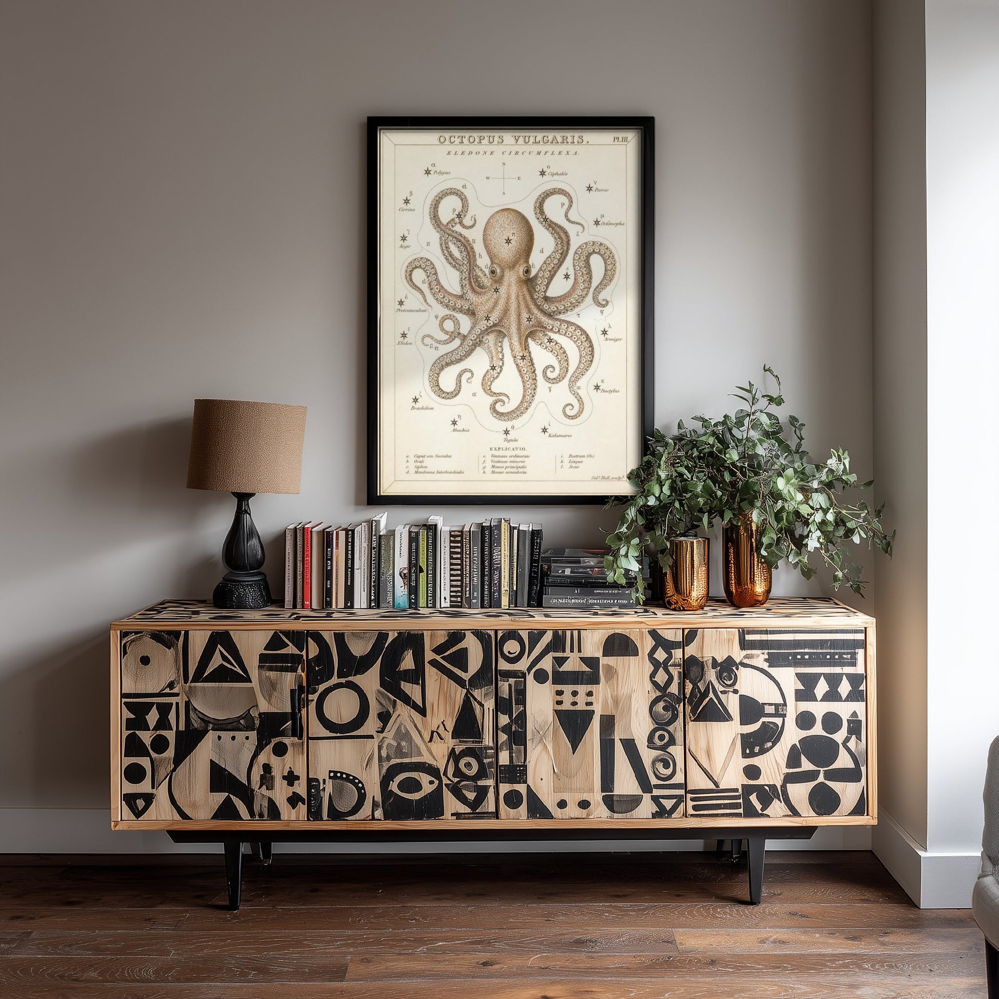 Octopus Art Print - Vintage Sidney Hall Scientific Poster - Antique Sea Creature Illustration Wall Art 1/3