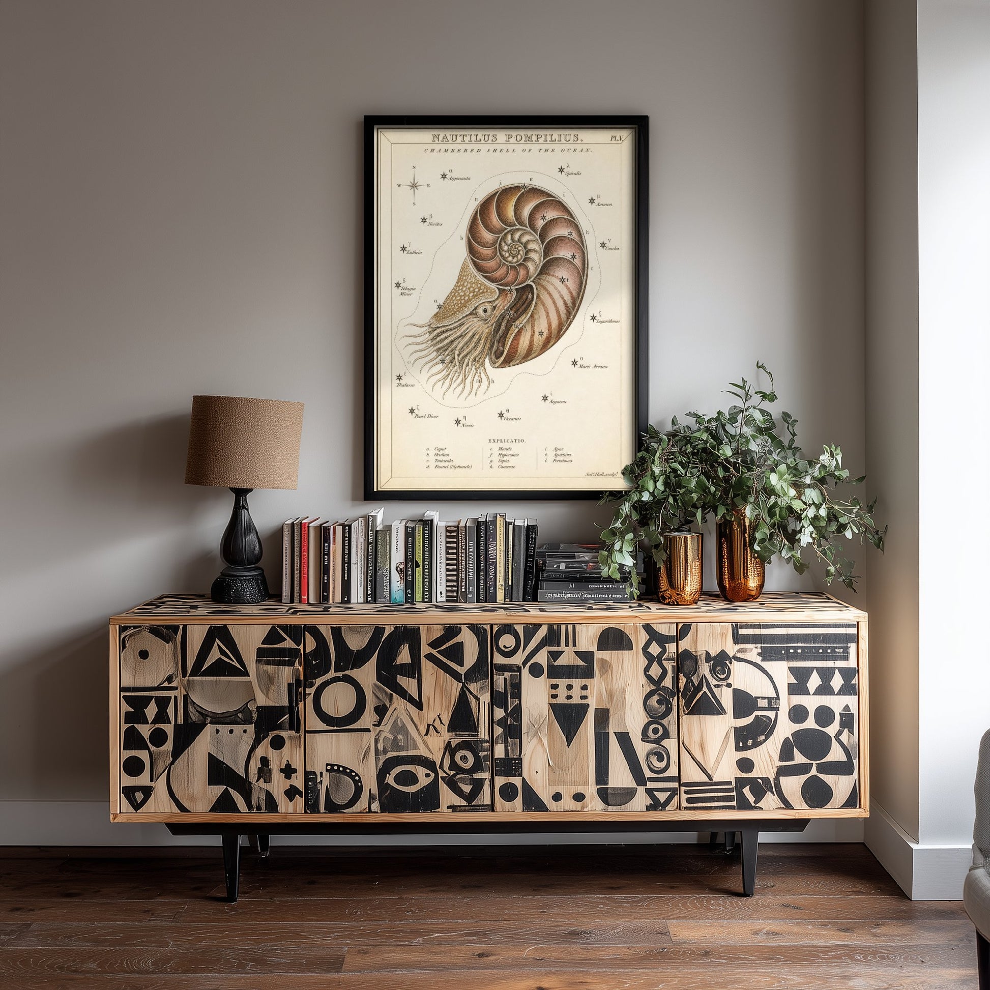 Nautilus Shell Art Print - Vintage Sidney Hall Scientific Poster - Antique Sea Illustration Wall Art 2/3