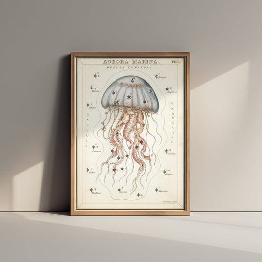 Jellyfish Art Print - Vintage Sidney Hall Scientific Poster - Antique Sea Creature Illustration Wall Art 3/3