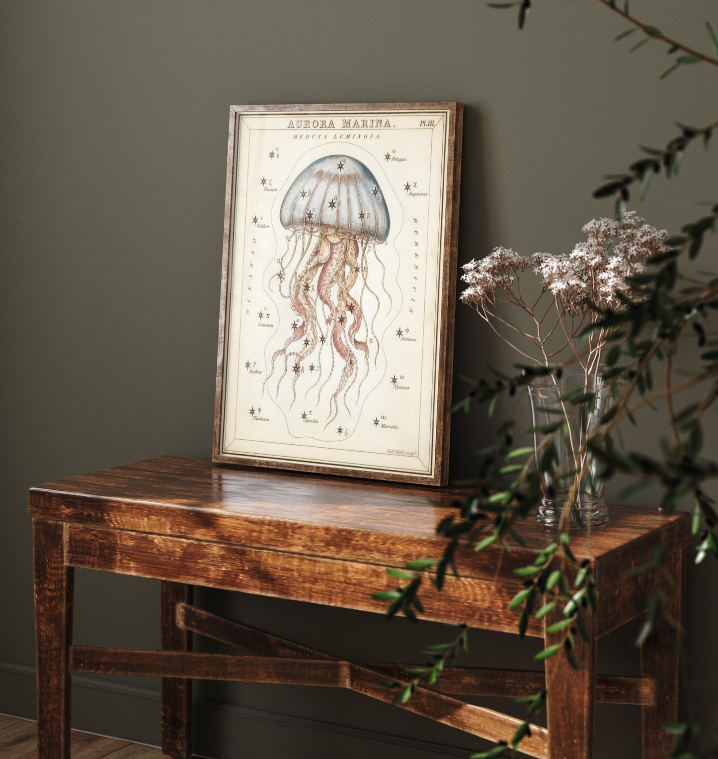 Jellyfish Art Print - Vintage Sidney Hall Scientific Poster - Antique Sea Creature Illustration Wall Art 3/3