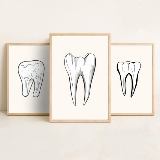 Tooth Drawing Set of Three Art Prints - Line Art Molars on White Background - Dentist Office Poster - Minimalist Dental Decor
