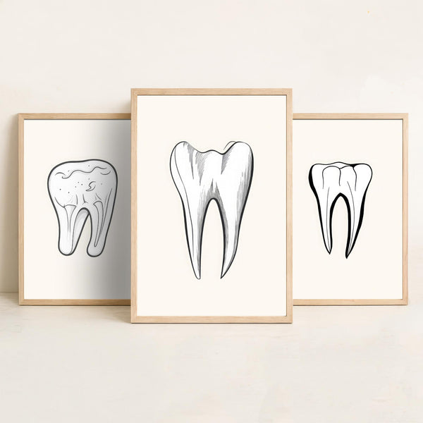 Tooth Line Drawing Prints Set of 3 for Dentist Office Walls – Quote Artisan