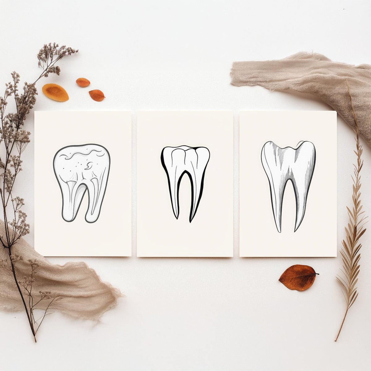 Tooth Drawing Set of Three Art Prints - Line Art Molars on White Background - Dentist Office Poster - Minimalist Dental Decor