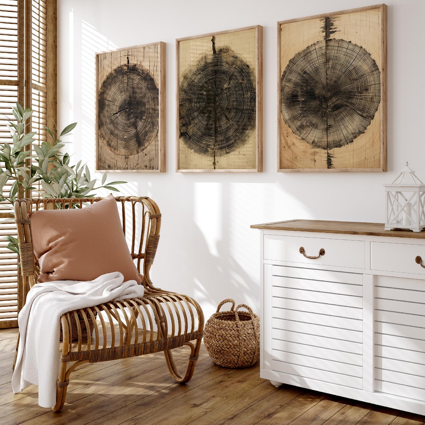 Tree Ring Brown Lines Set of Three Art Prints - 3 Wood Grain Dendrochronology Posters - Rustic Nature Wall Illustration Decor Gift