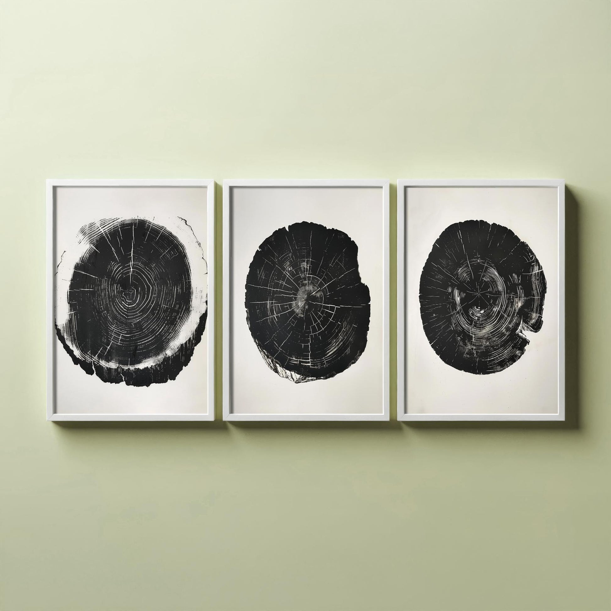 Bold Black Ink Tree Ring Set of Three Art Prints Poster Illustration Decor