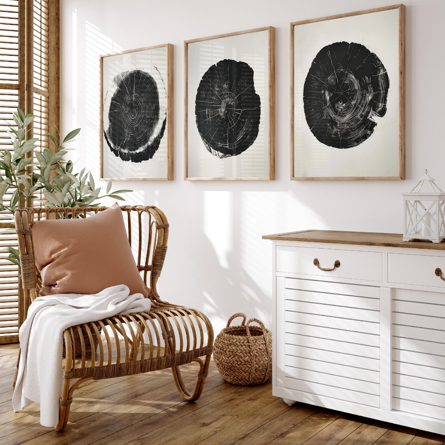Bold Black Ink Tree Ring Set of Three Art Prints Poster Illustration Decor