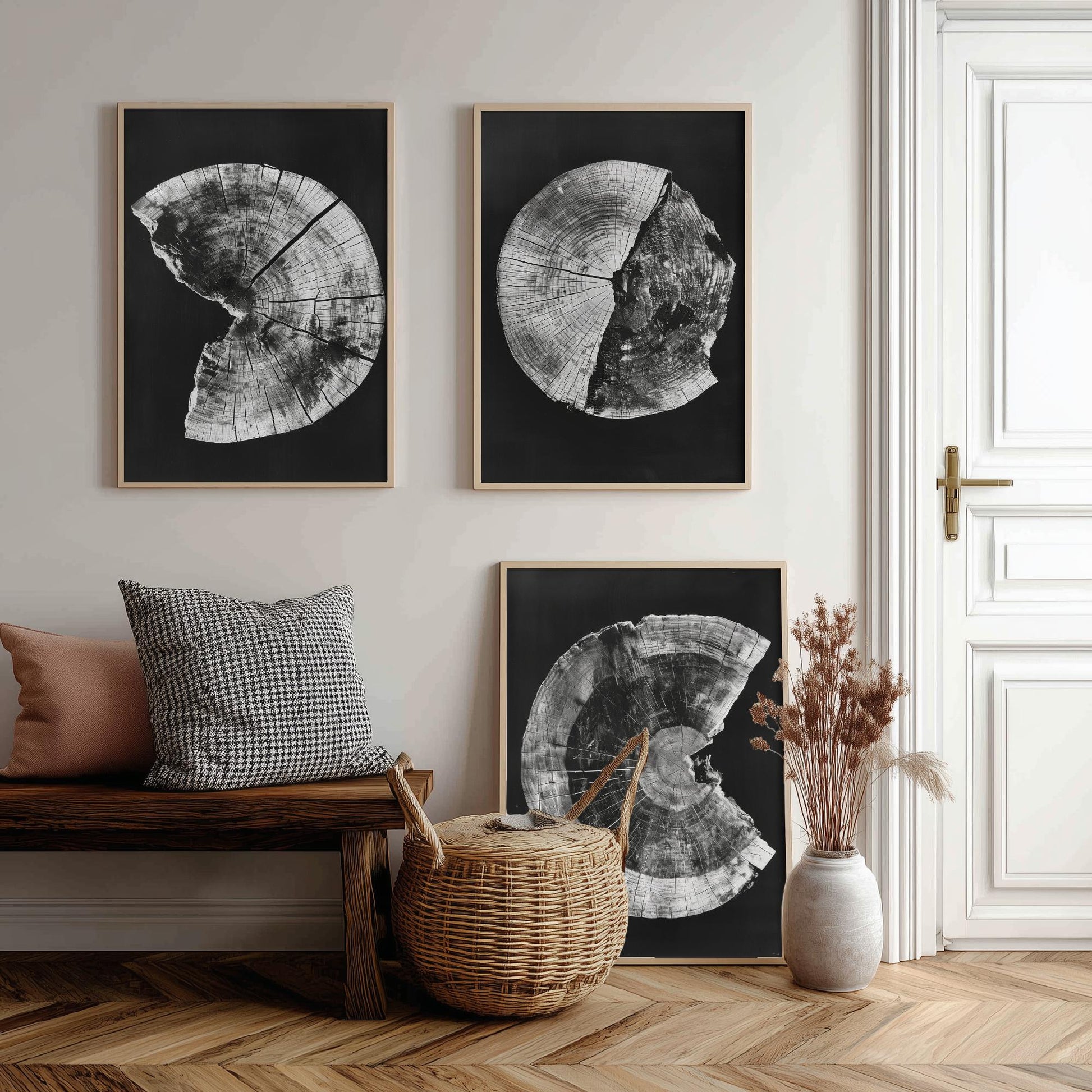 Inverted White Cracked Tree Ring Set of Three Art Prints Poster Illustration V1