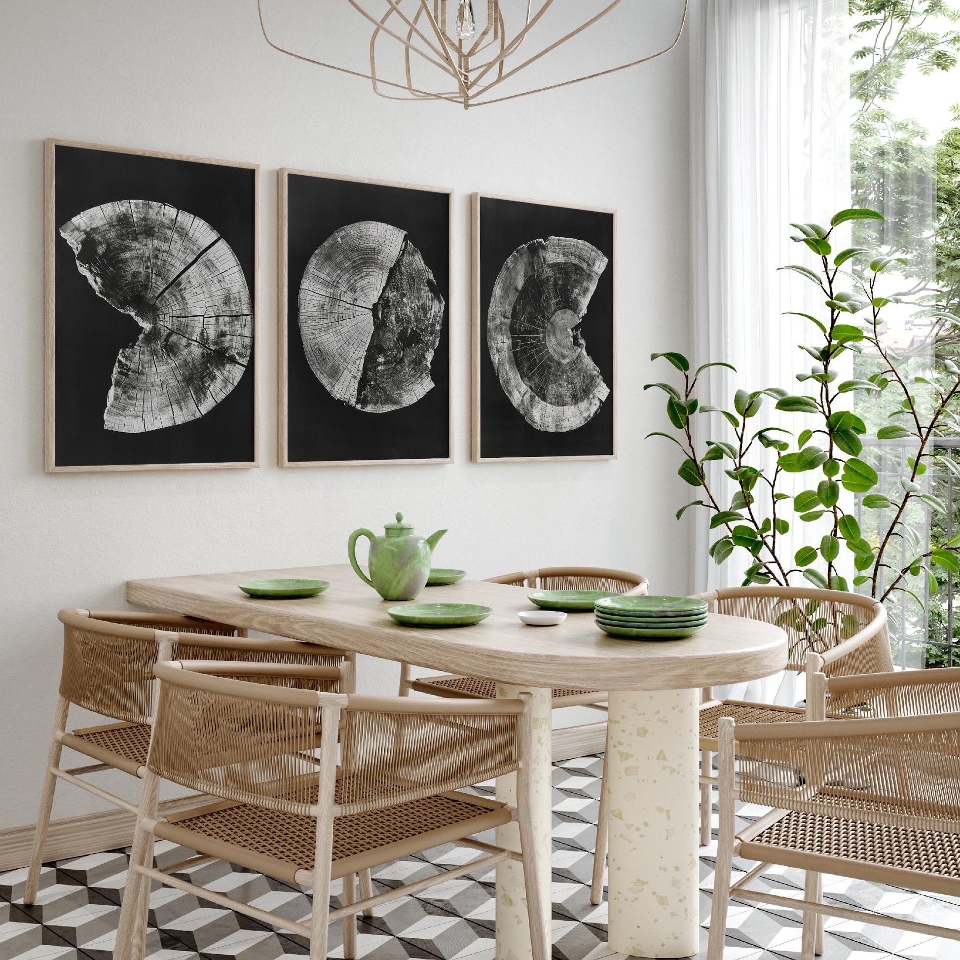 Inverted White Cracked Tree Ring Set of Three Art Prints Poster Illustration V1