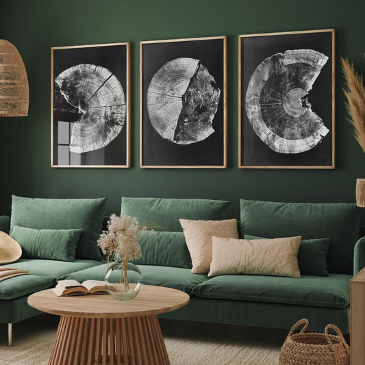 Inverted White Cracked Tree Ring Set of Three Art Prints Poster Illustration V1