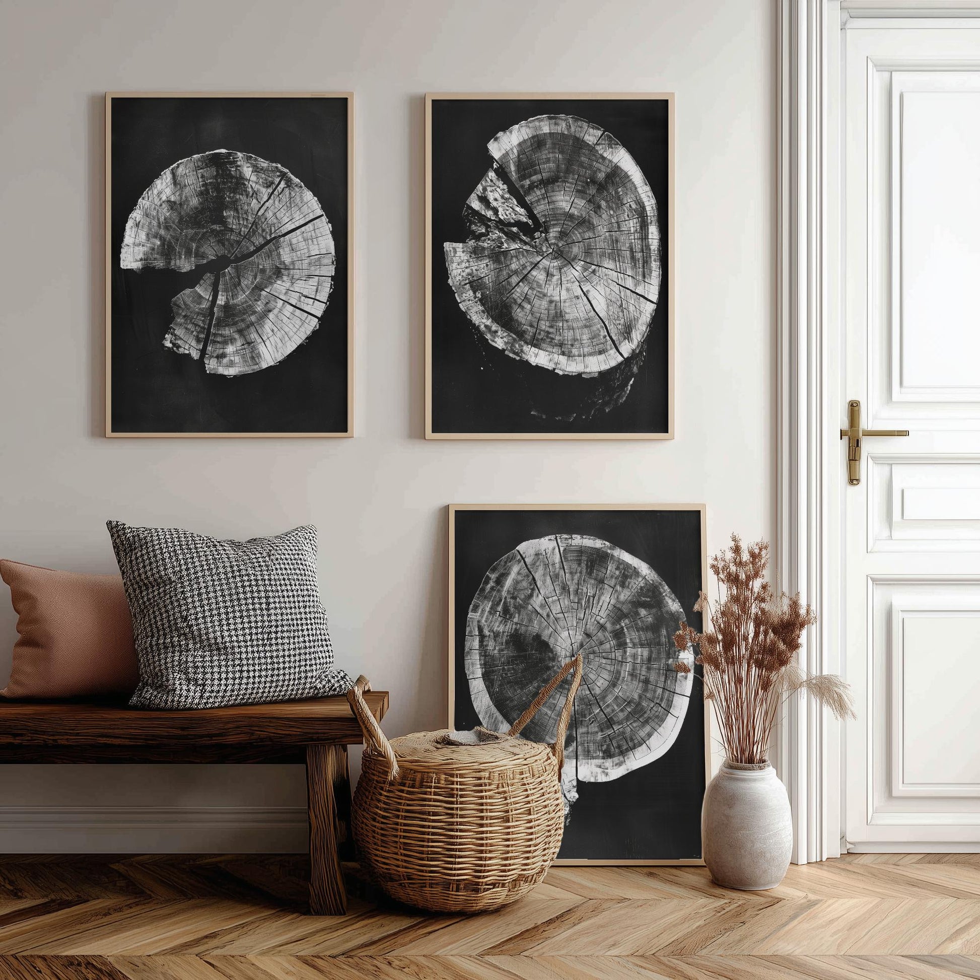 Inverted Grey Cracked Tree Ring Set of Three Art Prints Poster Illustration V2