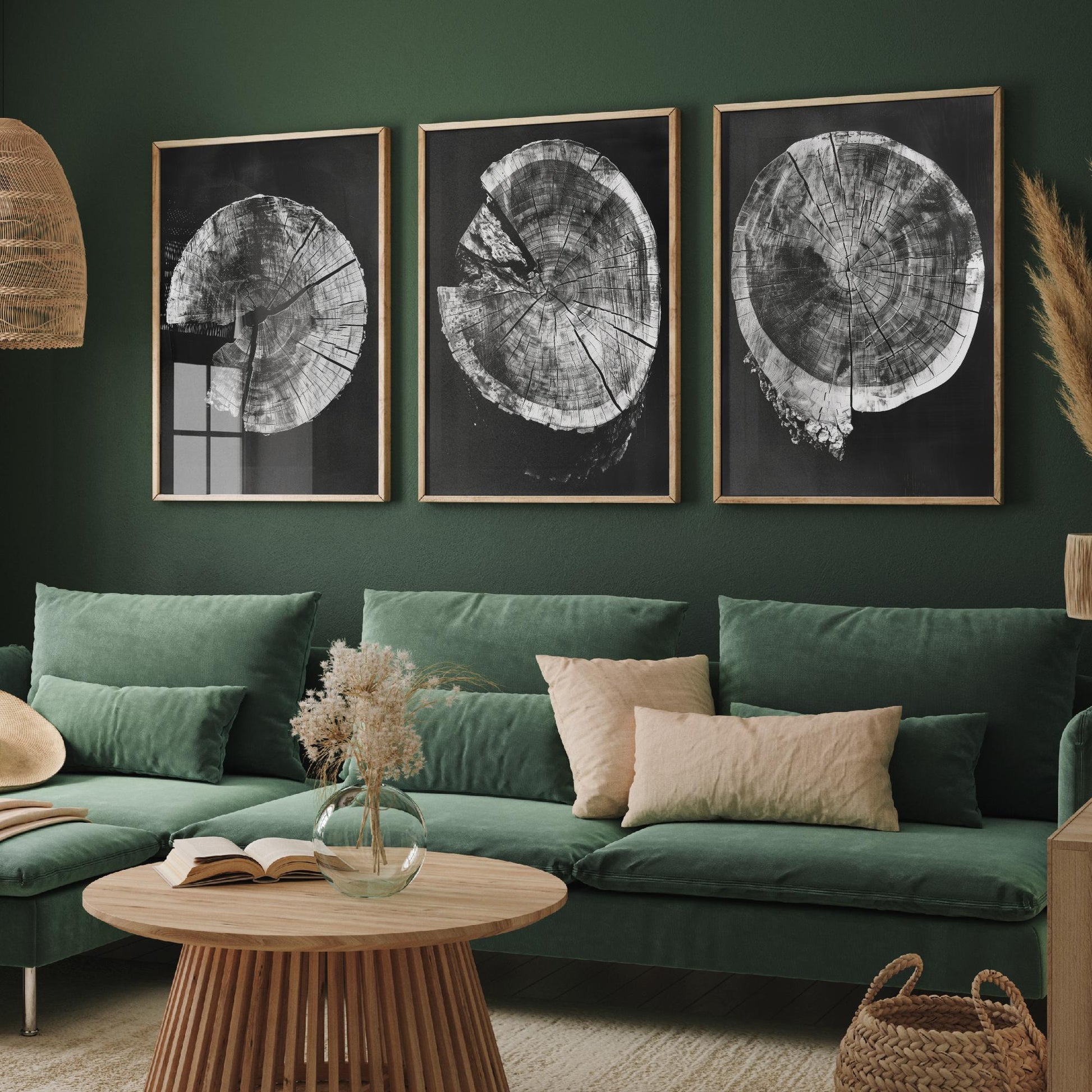 Inverted Grey Cracked Tree Ring Set of Three Art Prints Poster Illustration V2