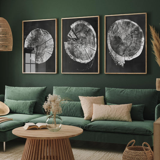 Inverted Grey Cracked Tree Ring Set of Three Art Prints Poster Illustration V2
