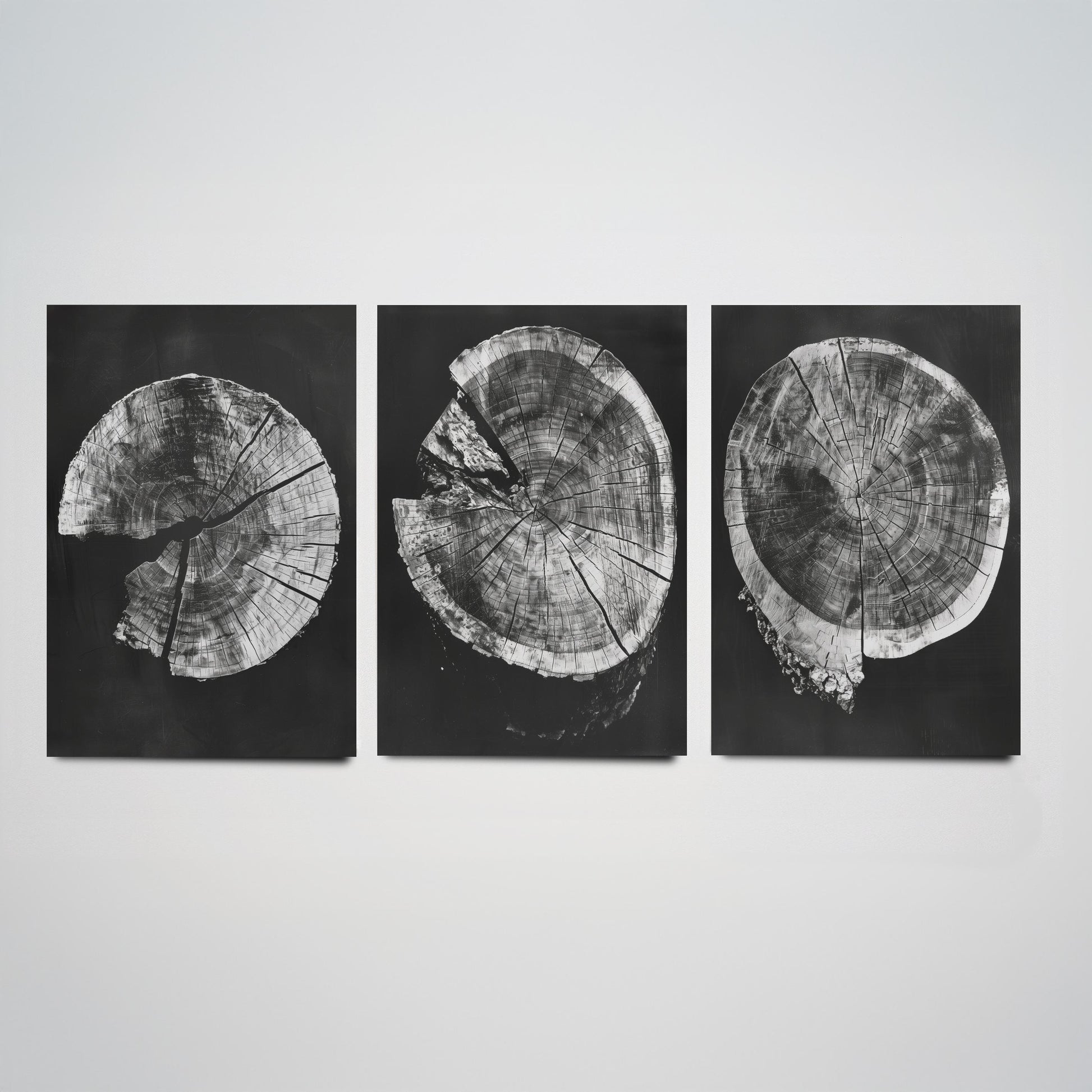 Inverted Grey Cracked Tree Ring Set of Three Art Prints Poster Illustration V2