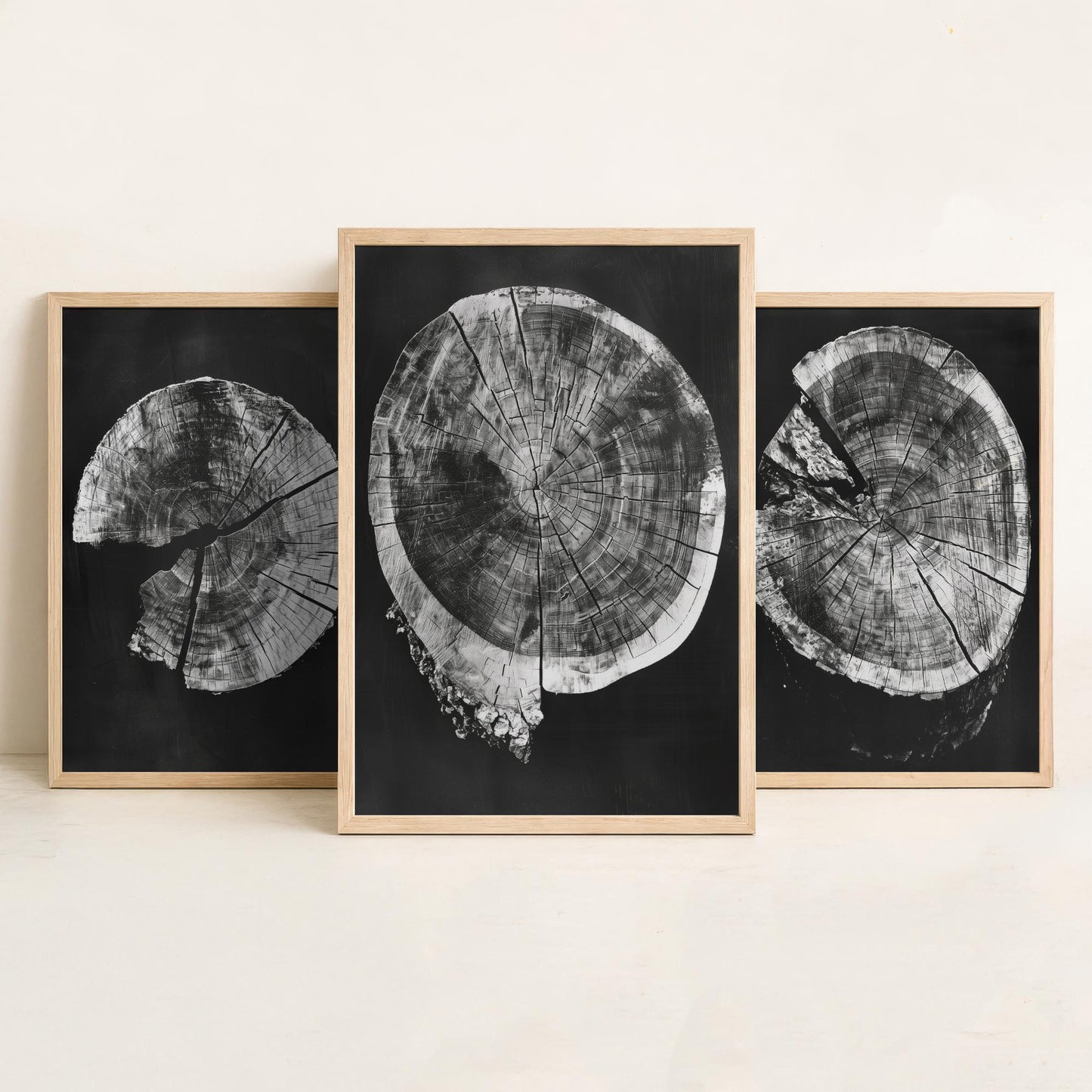 Inverted Grey Cracked Tree Ring Set of Three Art Prints Poster Illustration V2