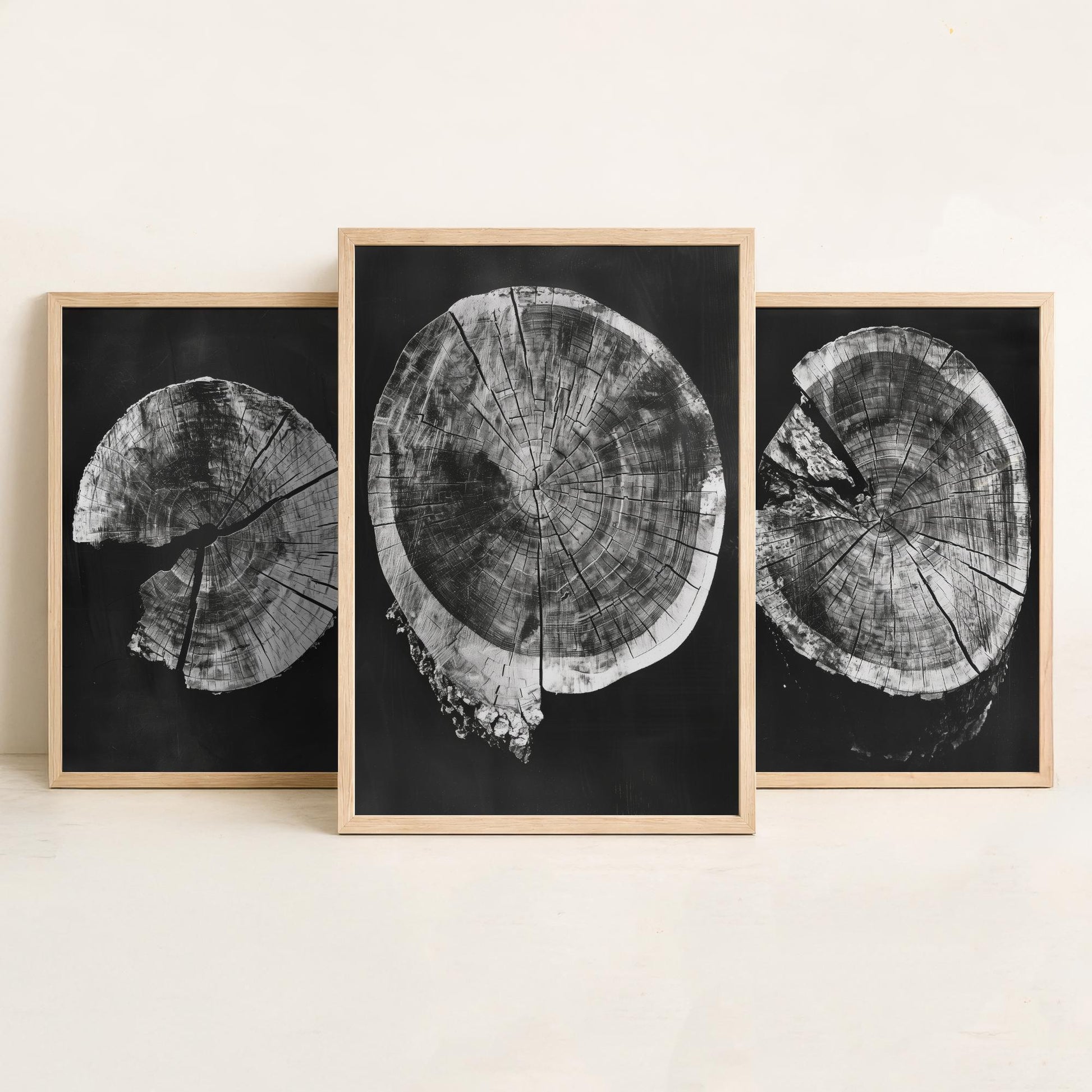 Inverted Grey Cracked Tree Ring Set of Three Art Prints Poster Illustration V2