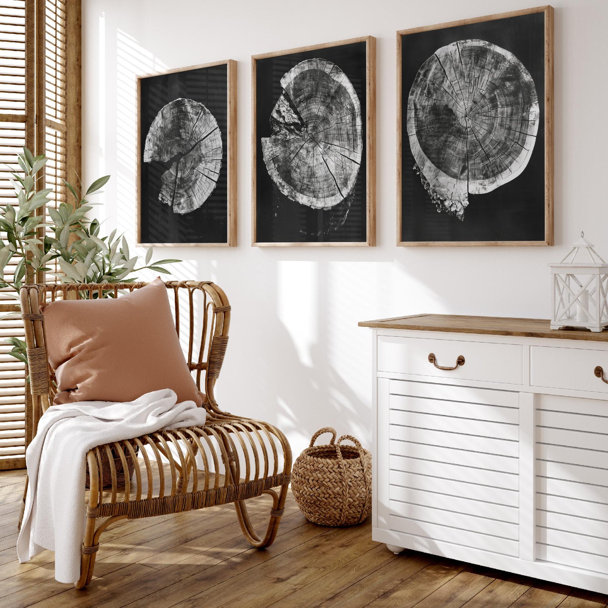 Inverted Grey Cracked Tree Ring Set of Three Art Prints Poster Illustration V2