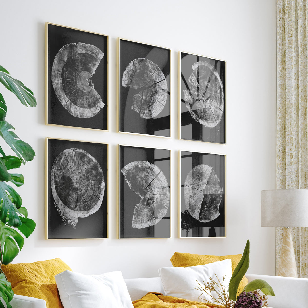 Set of Six Black and White Tree Ring Art Prints - 6 Broken Wood Slice Posters - Cracked Timber Rounds on Black Photo