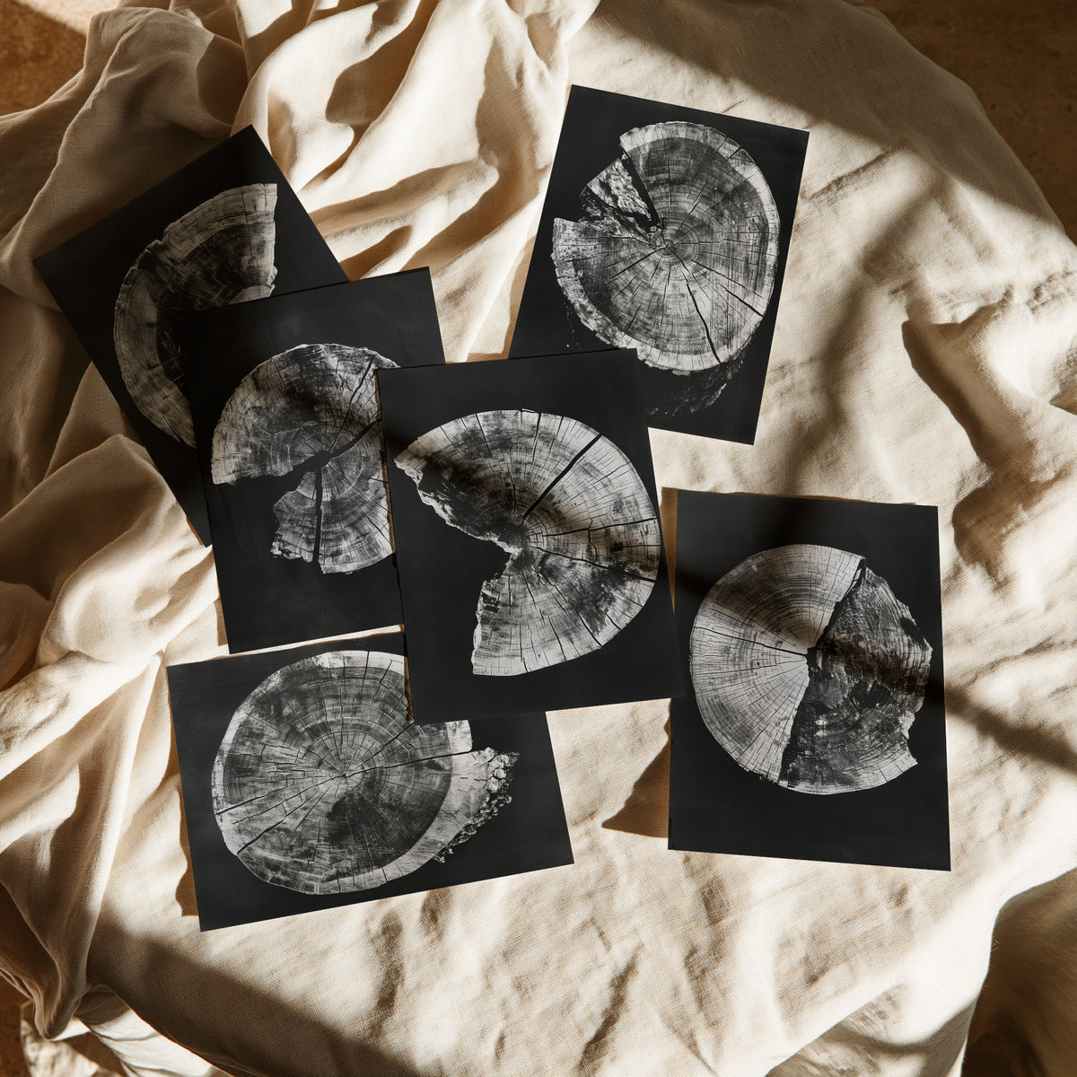 Set of Six Black and White Tree Ring Art Prints - 6 Broken Wood Slice Posters - Cracked Timber Rounds on Black Photo