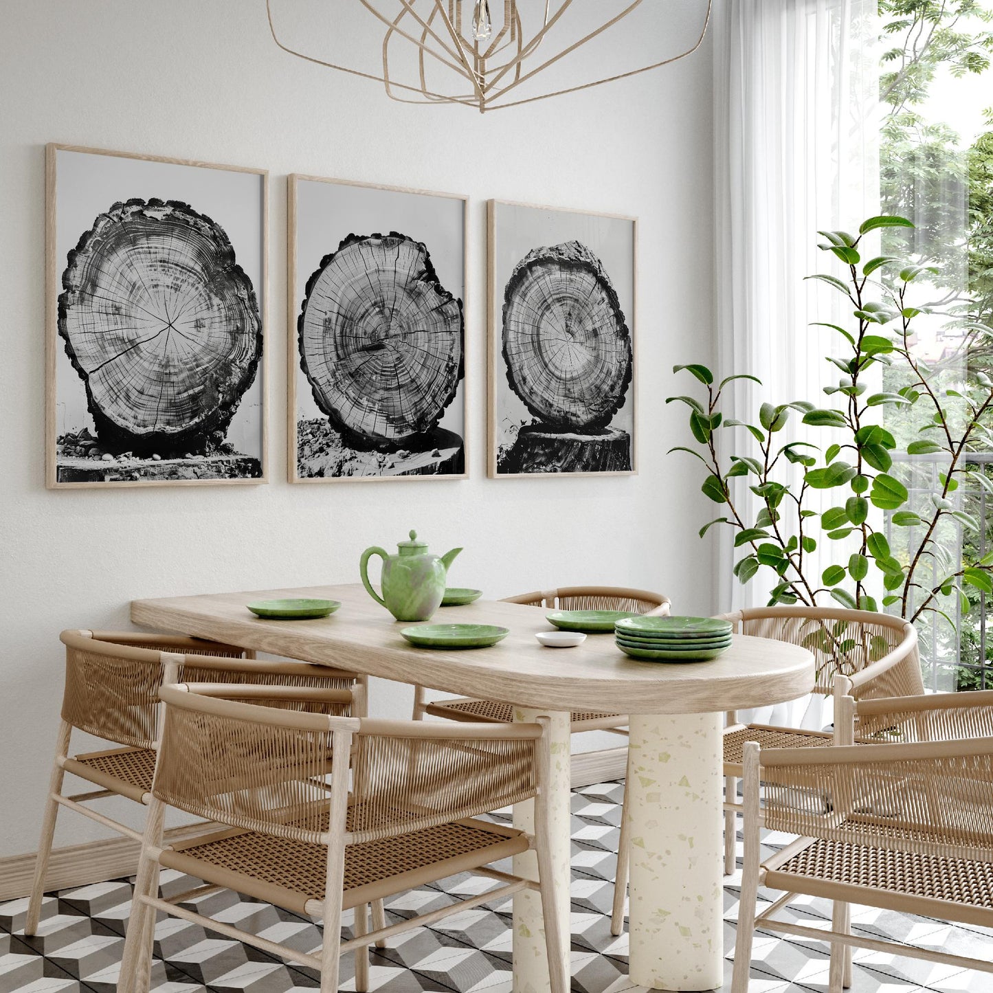 Rustic Tree Stump Rings Set of Three Art Prints Poster Photo Nature Decor