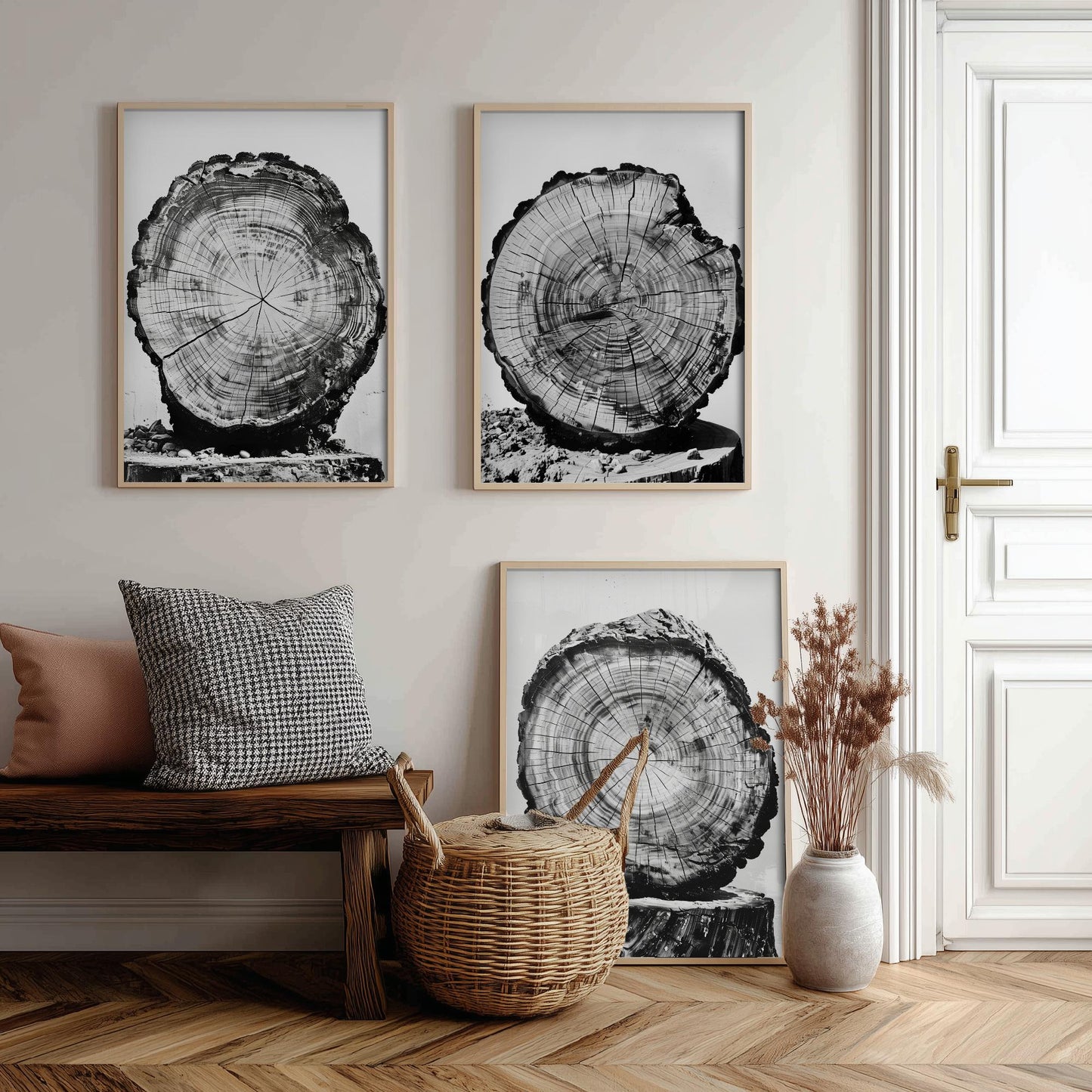 Rustic Tree Stump Rings Set of Three Art Prints Poster Photo Nature Decor