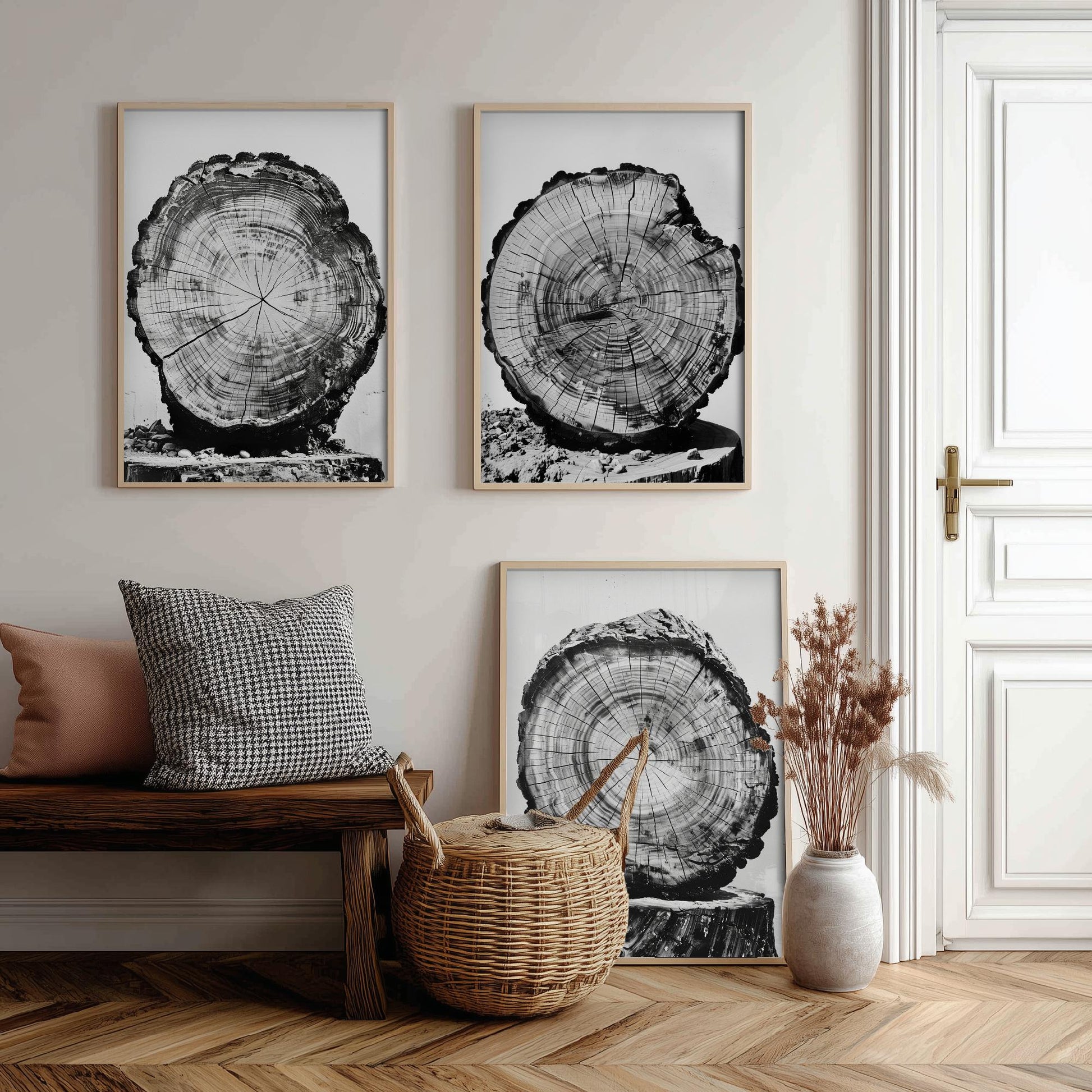 Rustic Tree Stump Rings Set of Three Art Prints Poster Photo Nature Decor