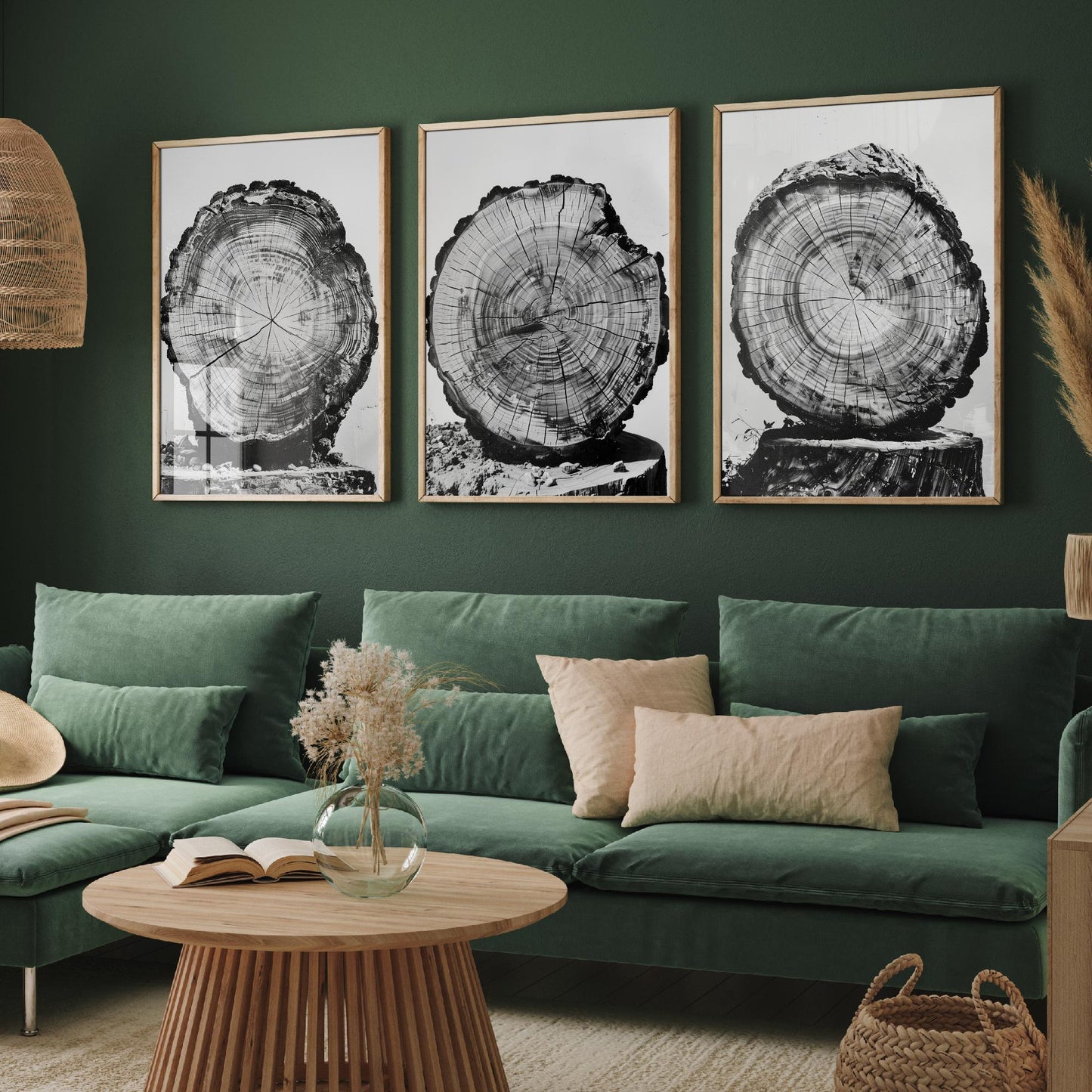 Rustic Tree Stump Rings Set of Three Art Prints Poster Photo Nature Decor