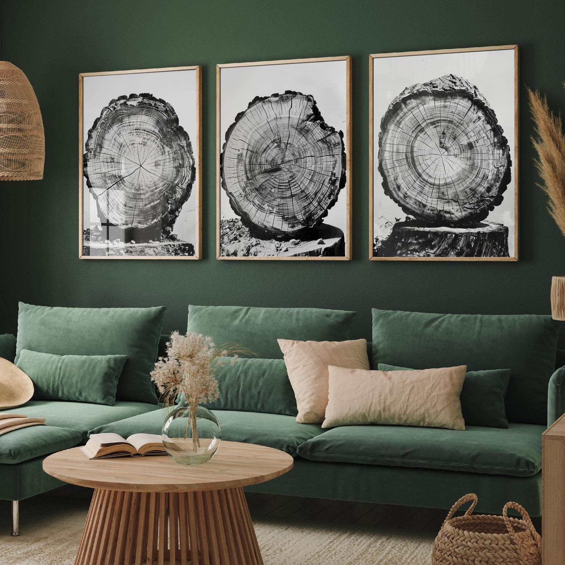 Rustic Tree Stump Rings Set of Three Art Prints Poster Photo Nature Decor