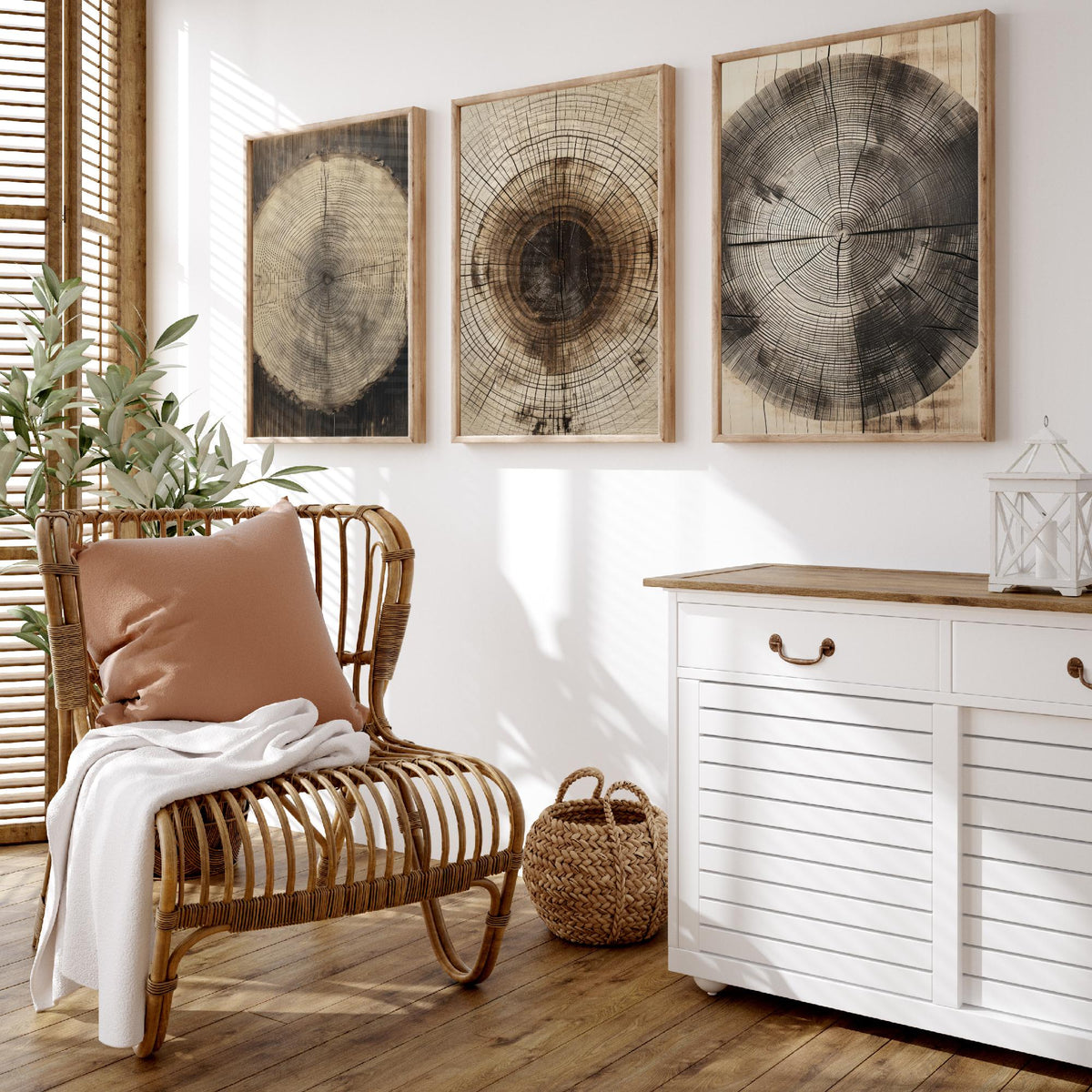 Tree Ring Stump Set of Three Art Prints - Sepia Log Slices with Heartwood and Cracks - Rustic Wood Grain Illustration Poster V2