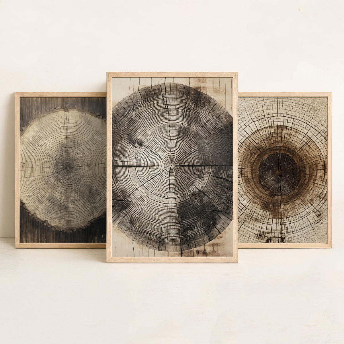Tree Ring Stump Set of Three Art Prints - Sepia Log Slices with Heartwood and Cracks - Rustic Wood Grain Illustration Poster V2
