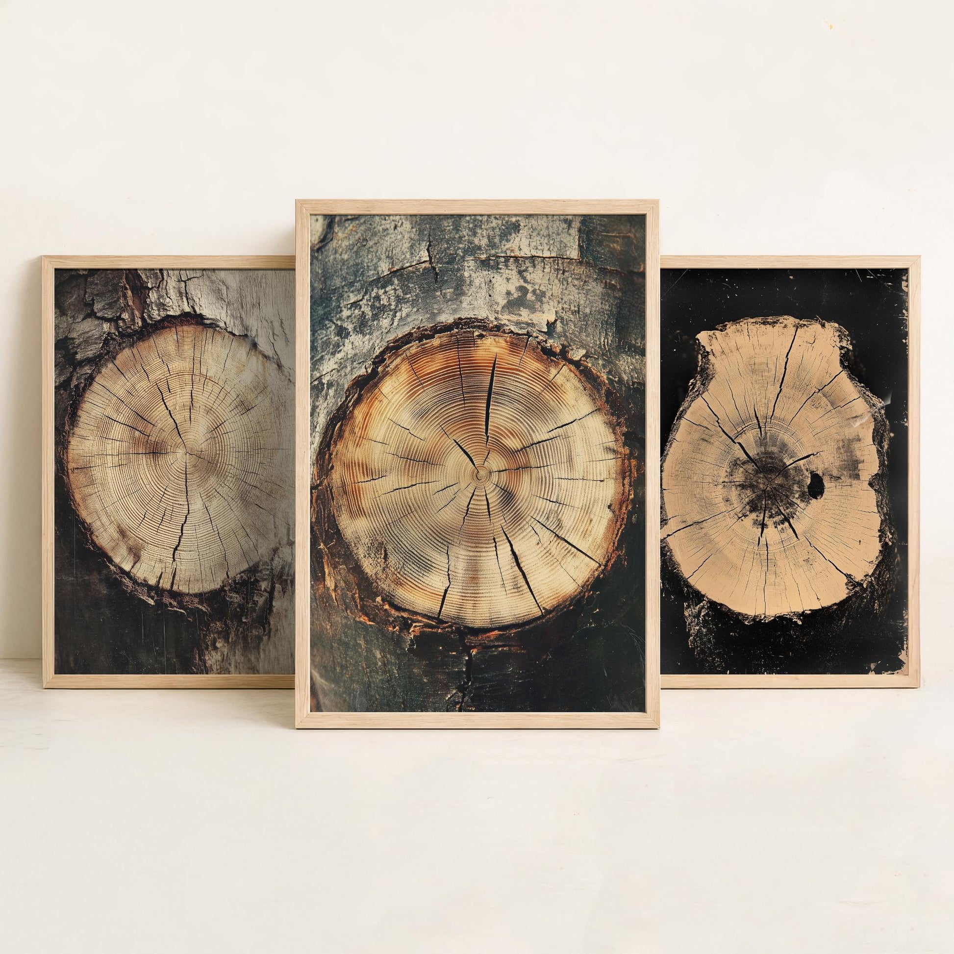 Warm Sepia Wood Grain Set of Three Art Prints Poster Painting Rustic Decor V2