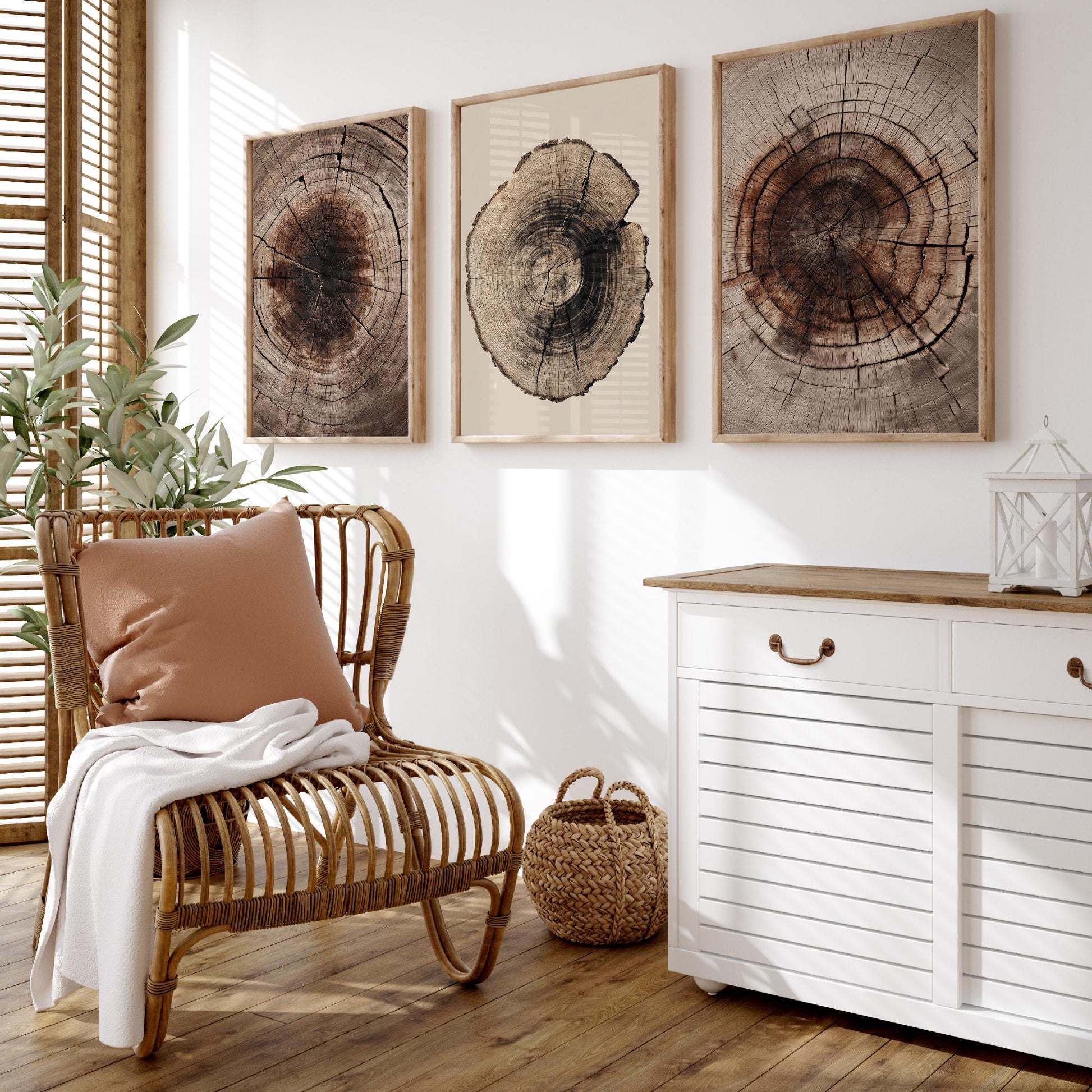Rich Brown Tree Ring Set of Three Art Prints Poster Painting Rustic Decor V4