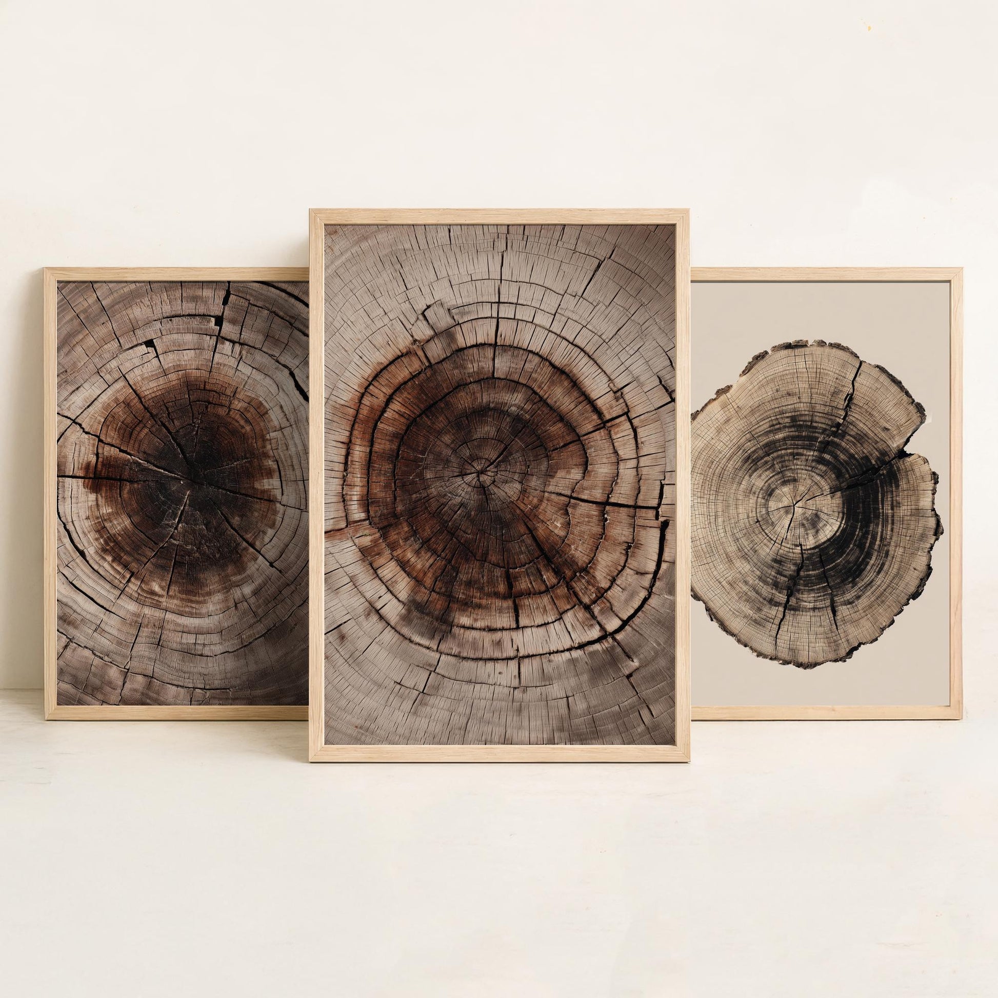 Rich Brown Tree Ring Set of Three Art Prints Poster Painting Rustic Decor V4