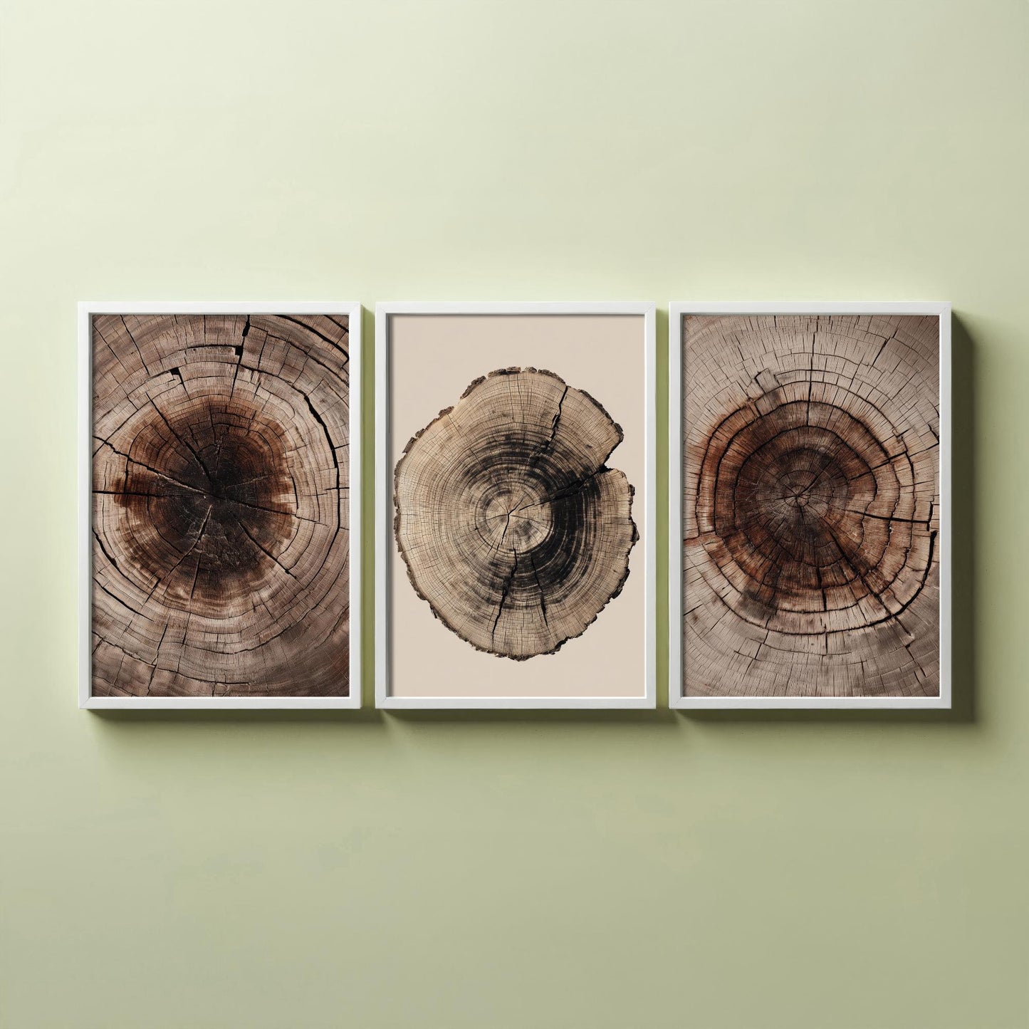 Rich Brown Tree Ring Set of Three Art Prints Poster Painting Rustic Decor V4