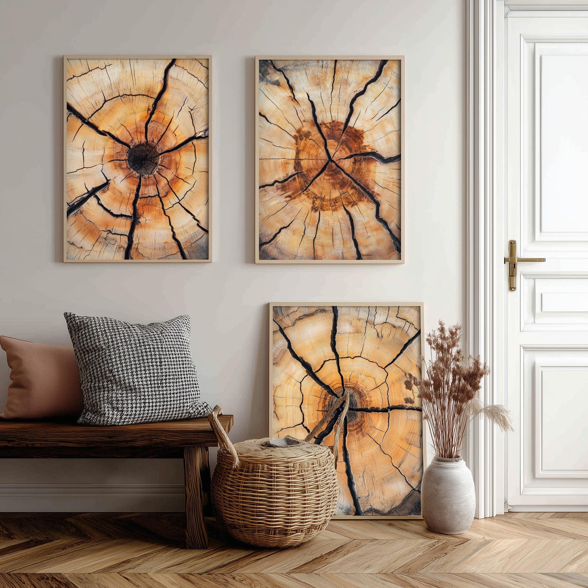 Fiery Amber Cracked Tree Ring Set of Three Art Prints Poster Painting Decor V5