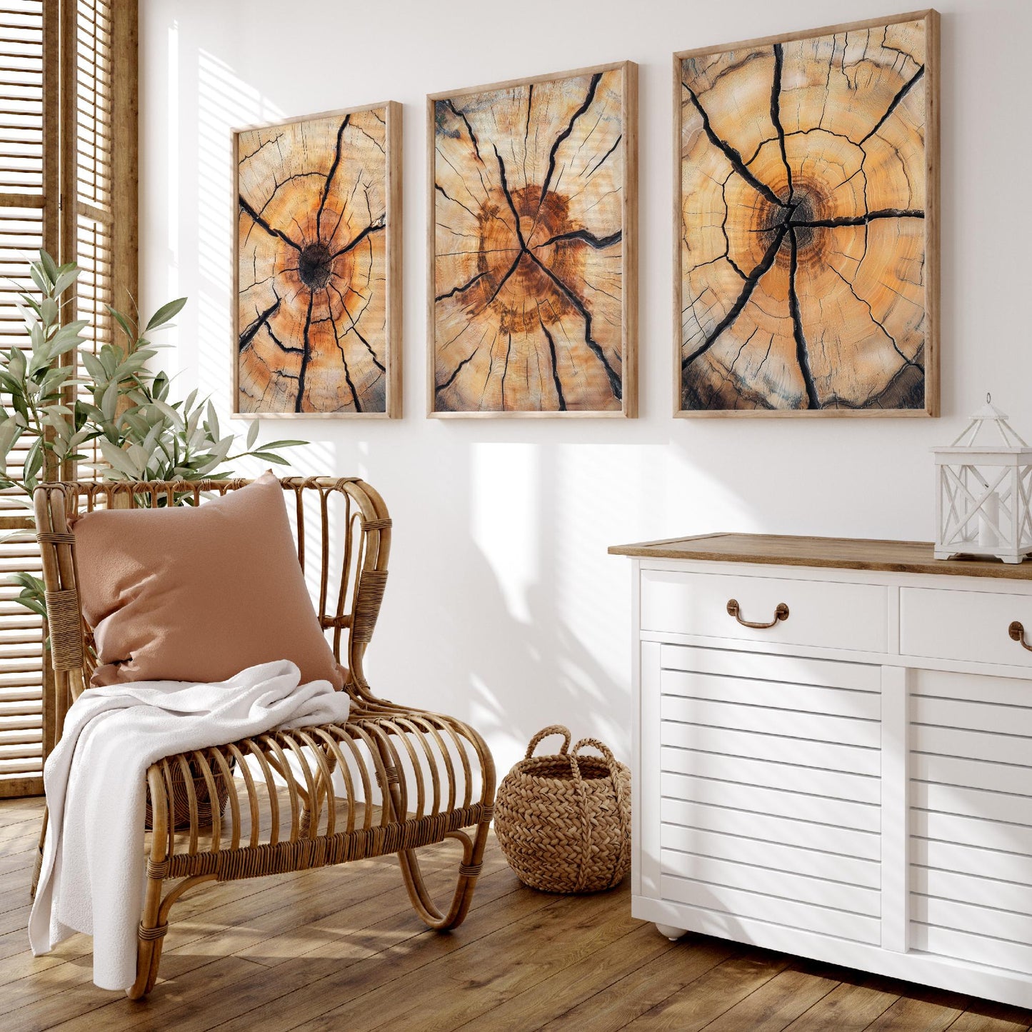 Fiery Amber Cracked Tree Ring Set of Three Art Prints Poster Painting Decor V5