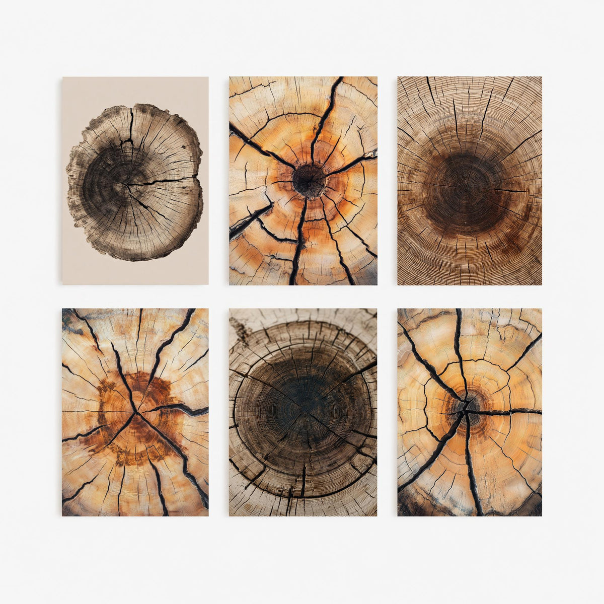 Set of Six Cracked Tree Ring Art Prints - 6 Close Up Wood Grain Posters - Amber, Orange and Dark Brown Timber Photo