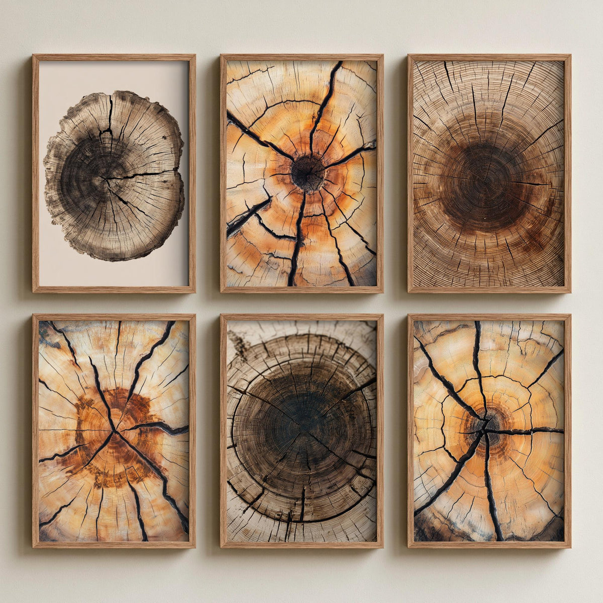 Set of Six Cracked Tree Ring Art Prints - 6 Close Up Wood Grain Posters - Amber, Orange and Dark Brown Timber Photo