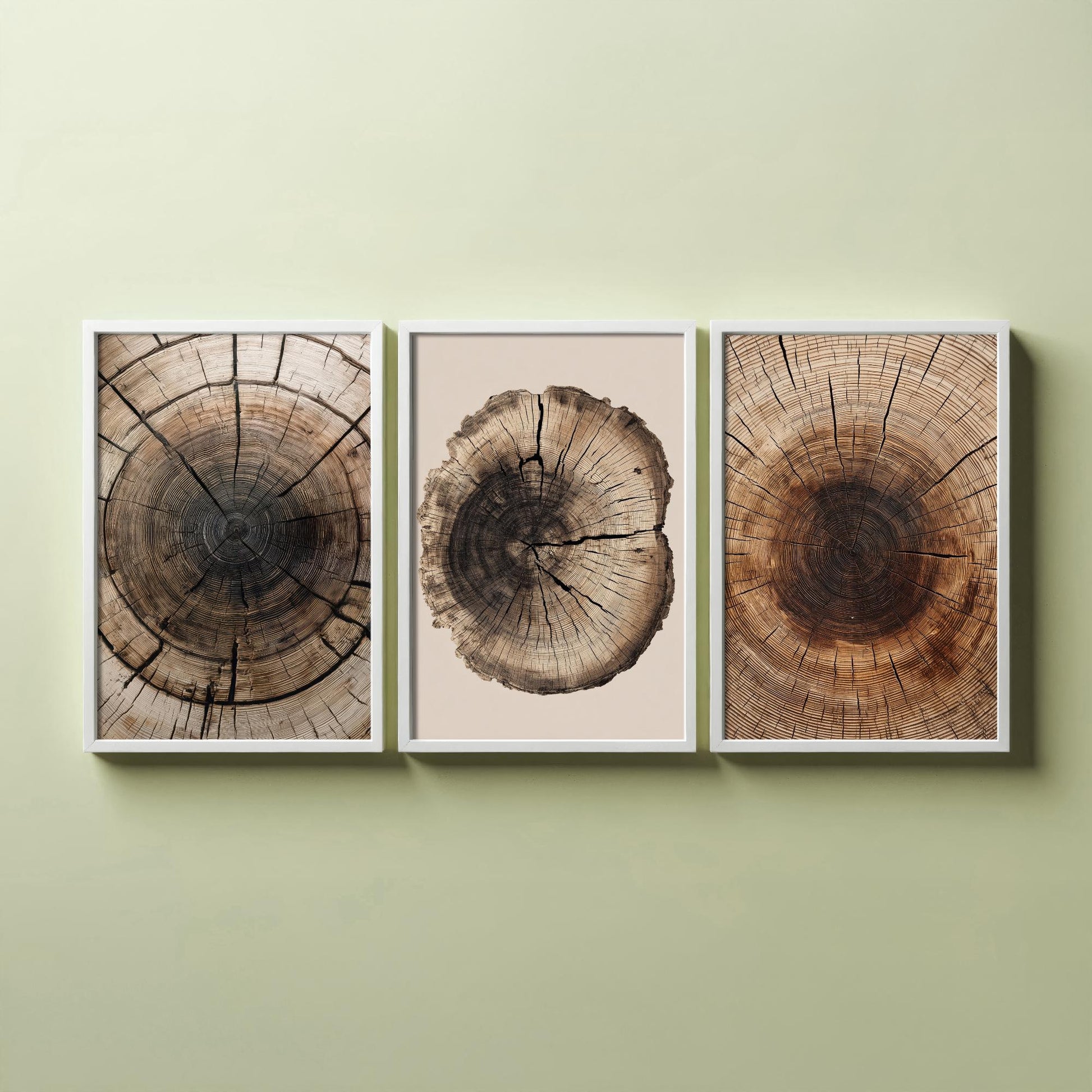 Zoomed Brown Wood Grain Set of Three Art Prints Poster Painting Rustic Decor V6