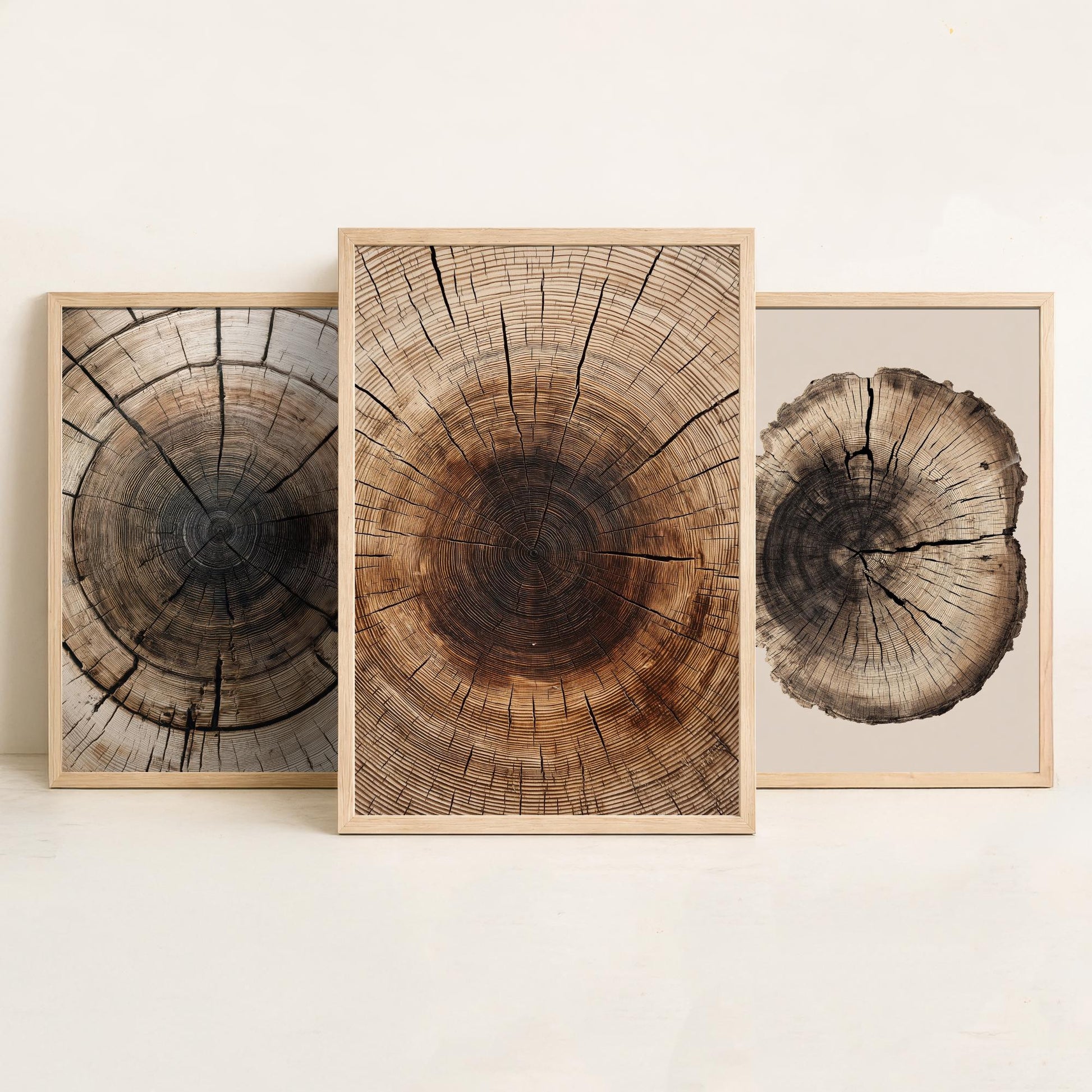 Zoomed Brown Wood Grain Set of Three Art Prints Poster Painting Rustic Decor V6