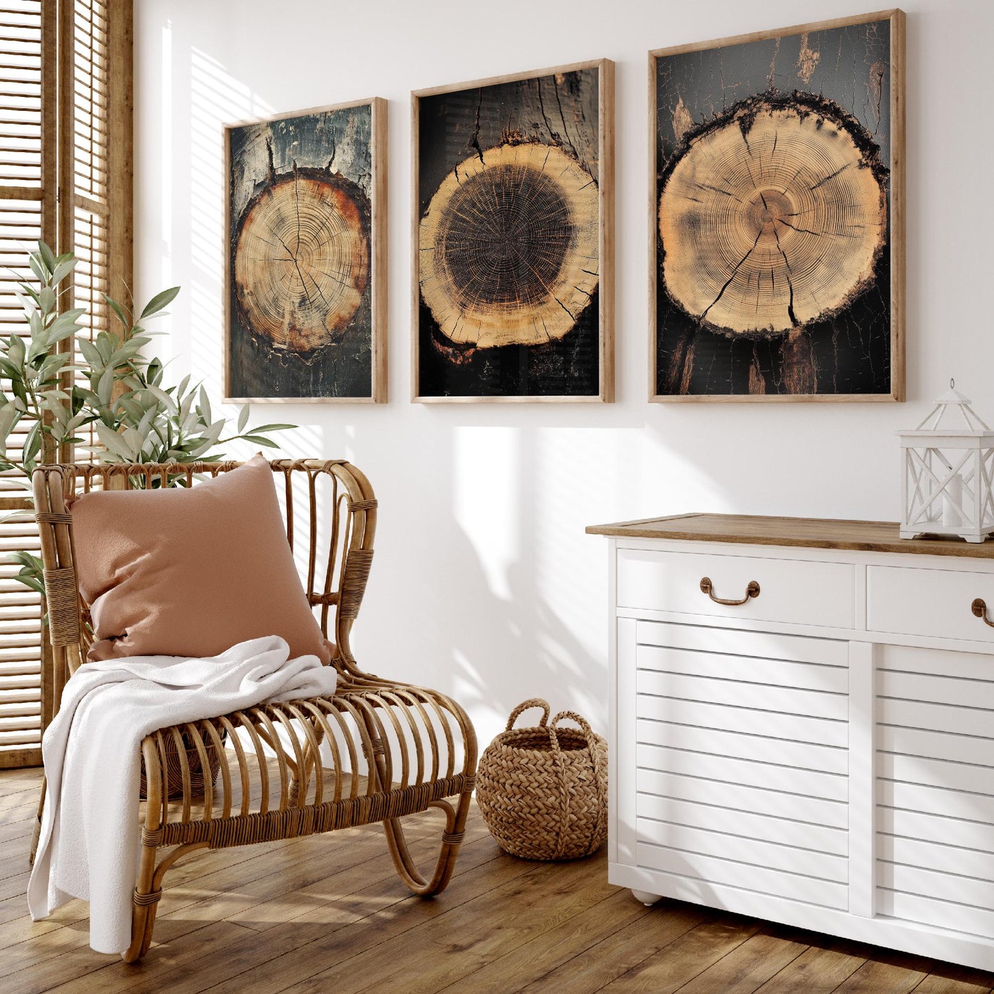 Moody Charcoal and Rust Tree Ring Set of Three Art Prints Poster Painting V7