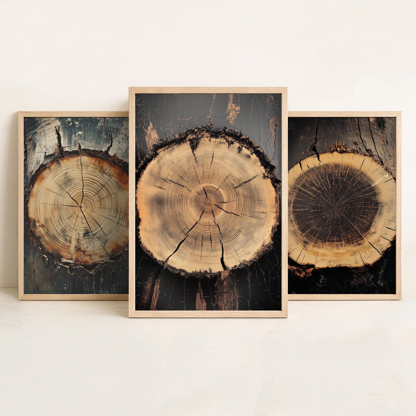 Moody Charcoal and Rust Tree Ring Set of Three Art Prints Poster Painting V7