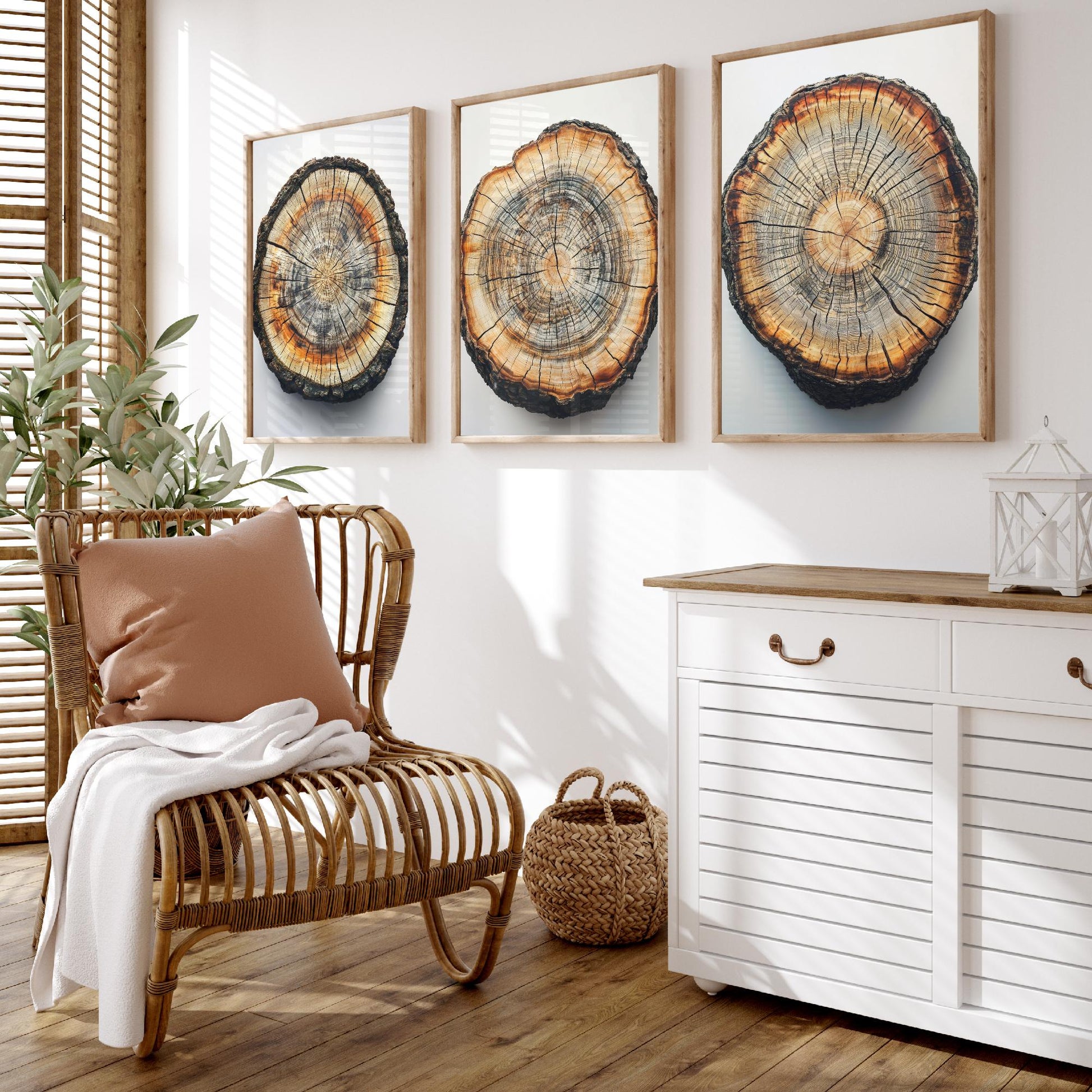 Bright Orange and Grey Wood Ring Set of Three Art Prints Poster Painting V8