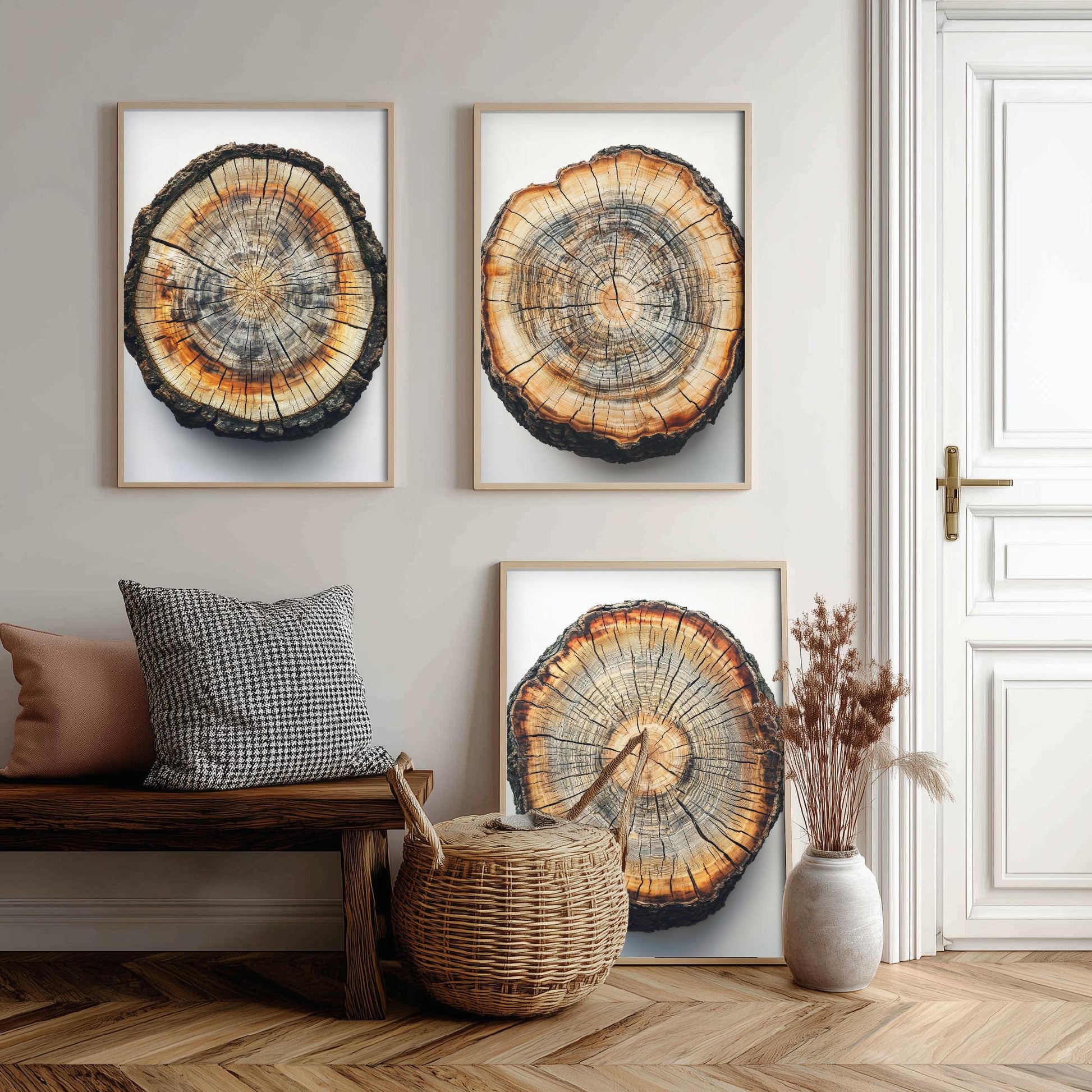 Bright Orange and Grey Wood Ring Set of Three Art Prints Poster Painting V8