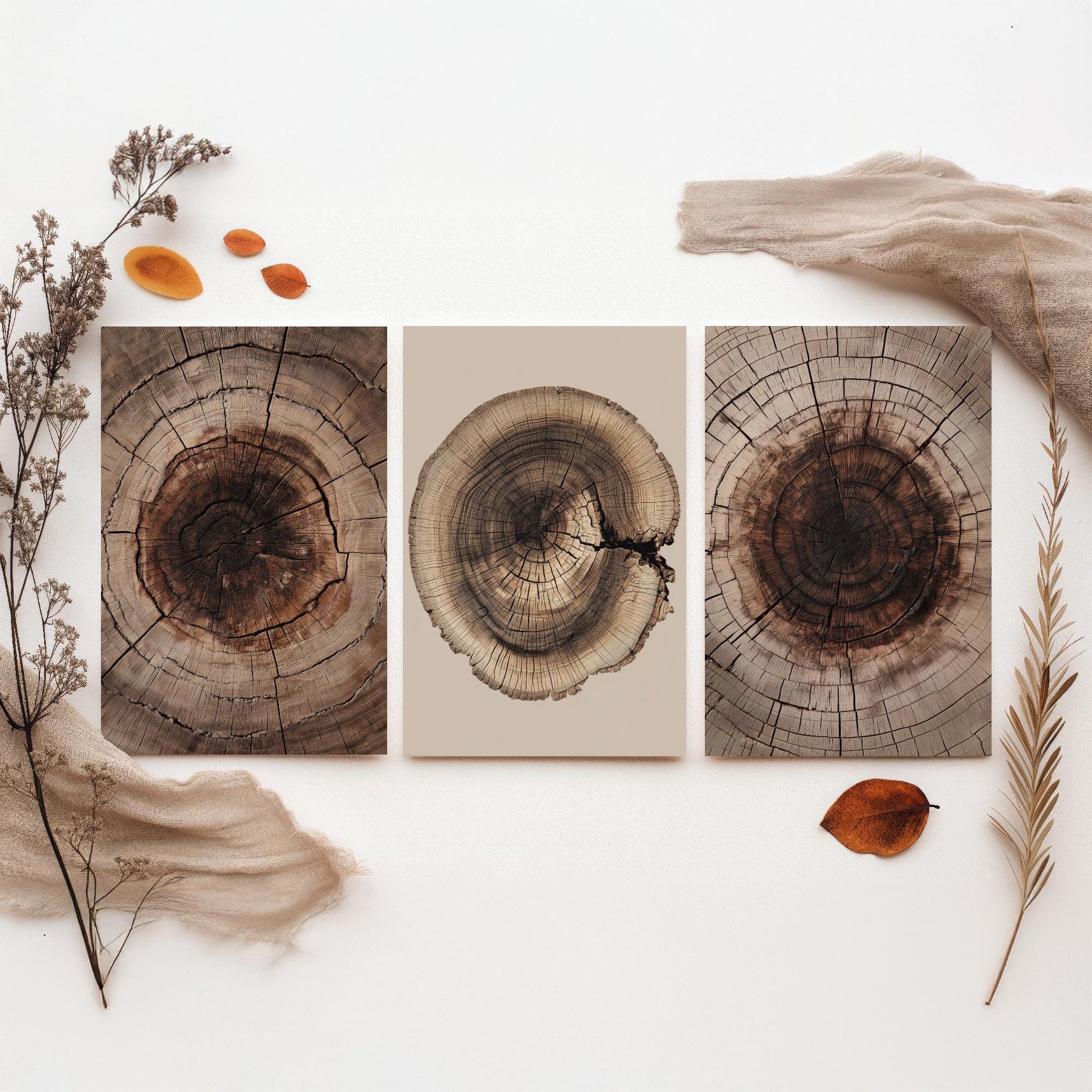 Warm Sepia Wood Ring on Beige Set of Three Art Prints Poster Painting V9