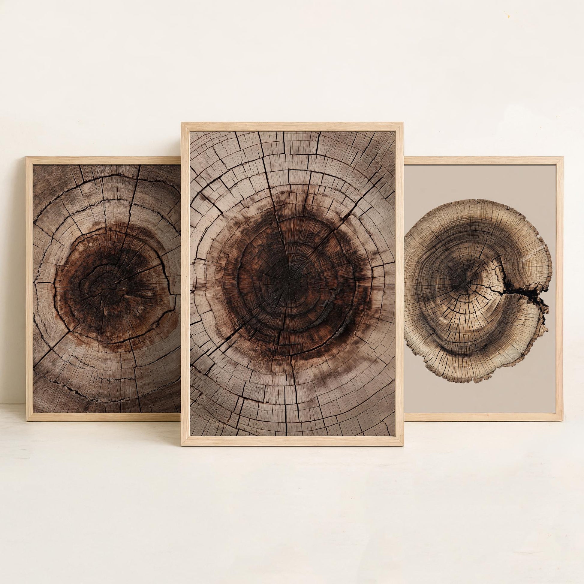 Warm Sepia Wood Ring on Beige Set of Three Art Prints Poster Painting V9