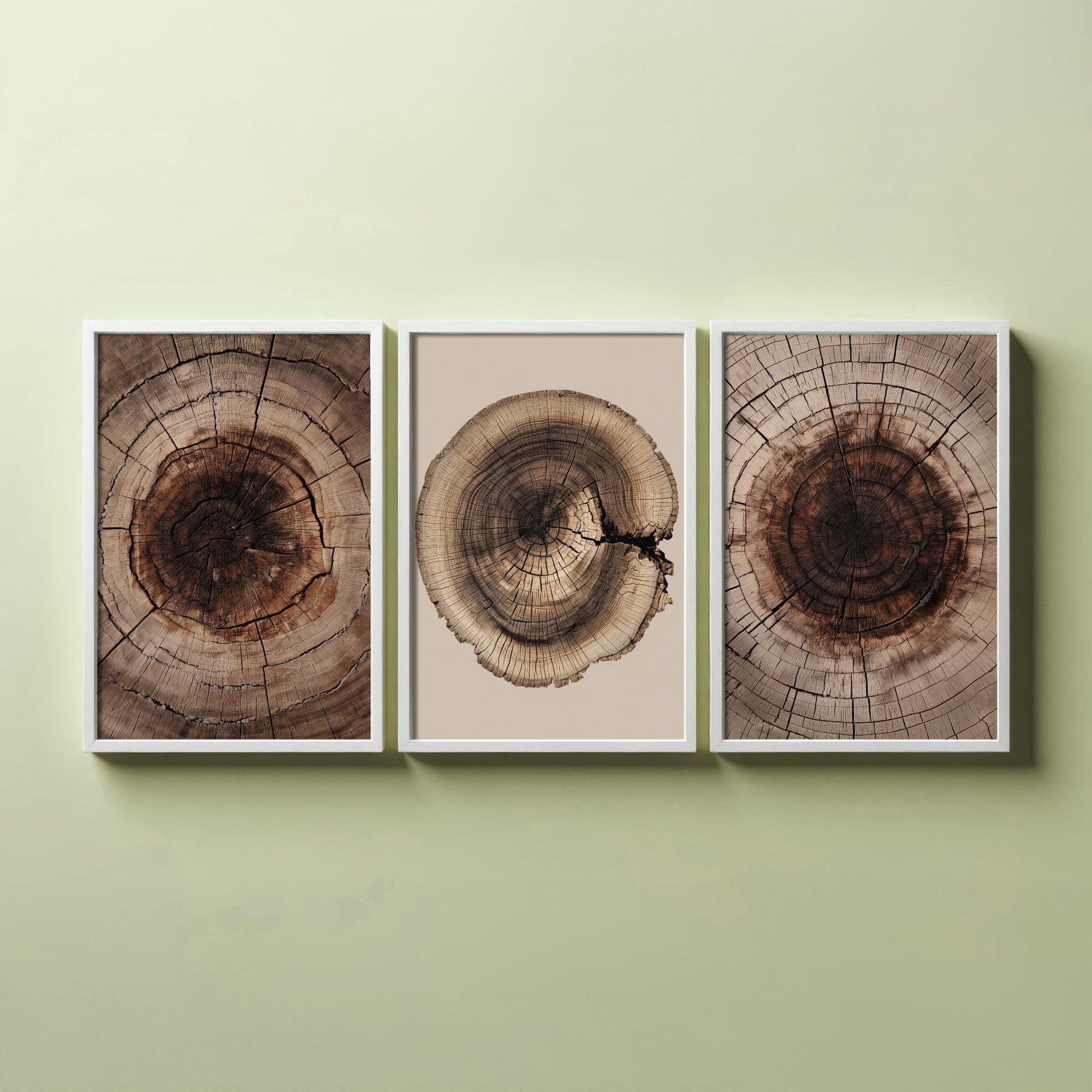 Warm Sepia Wood Ring on Beige Set of Three Art Prints Poster Painting V9