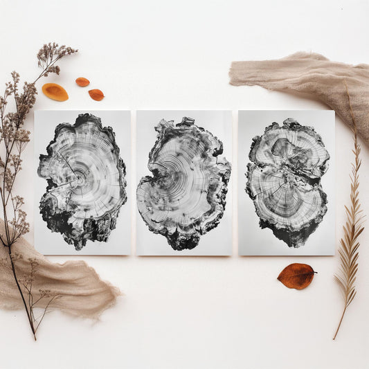 Warped Black and White Tree Ring Set of Three Art Prints Poster Painting Decor