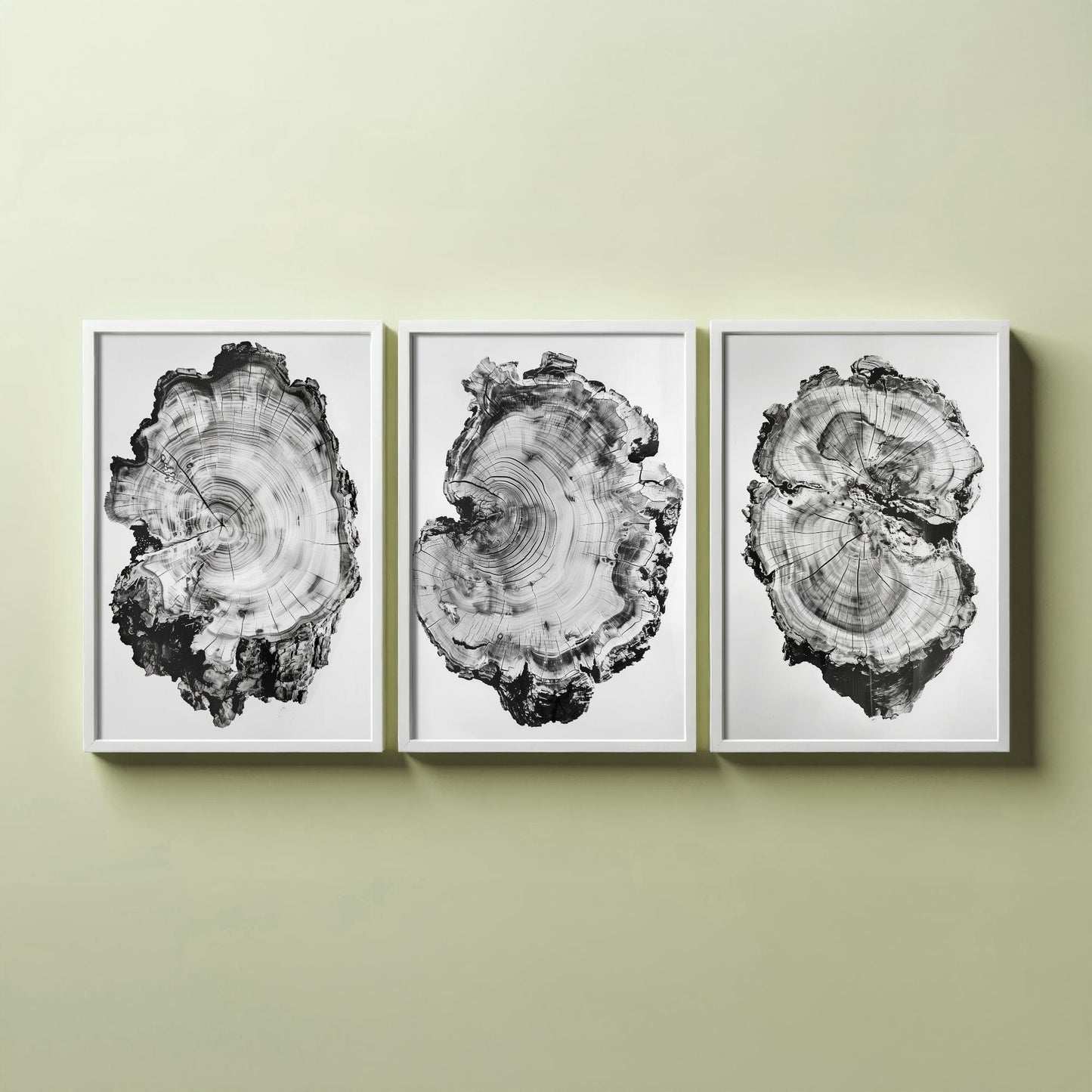Warped Black and White Tree Ring Set of Three Art Prints Poster Painting Decor