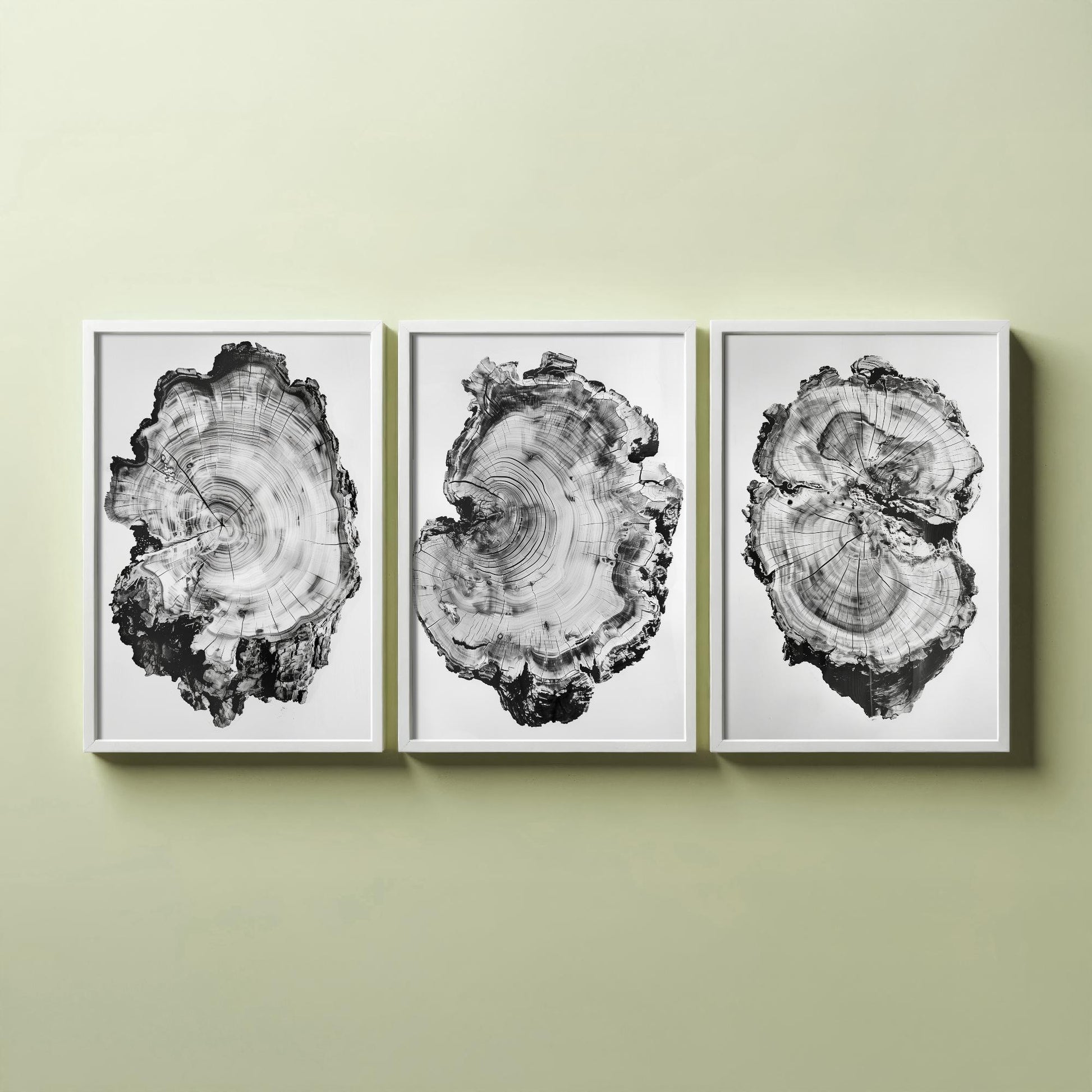 Warped Black and White Tree Ring Set of Three Art Prints Poster Painting Decor