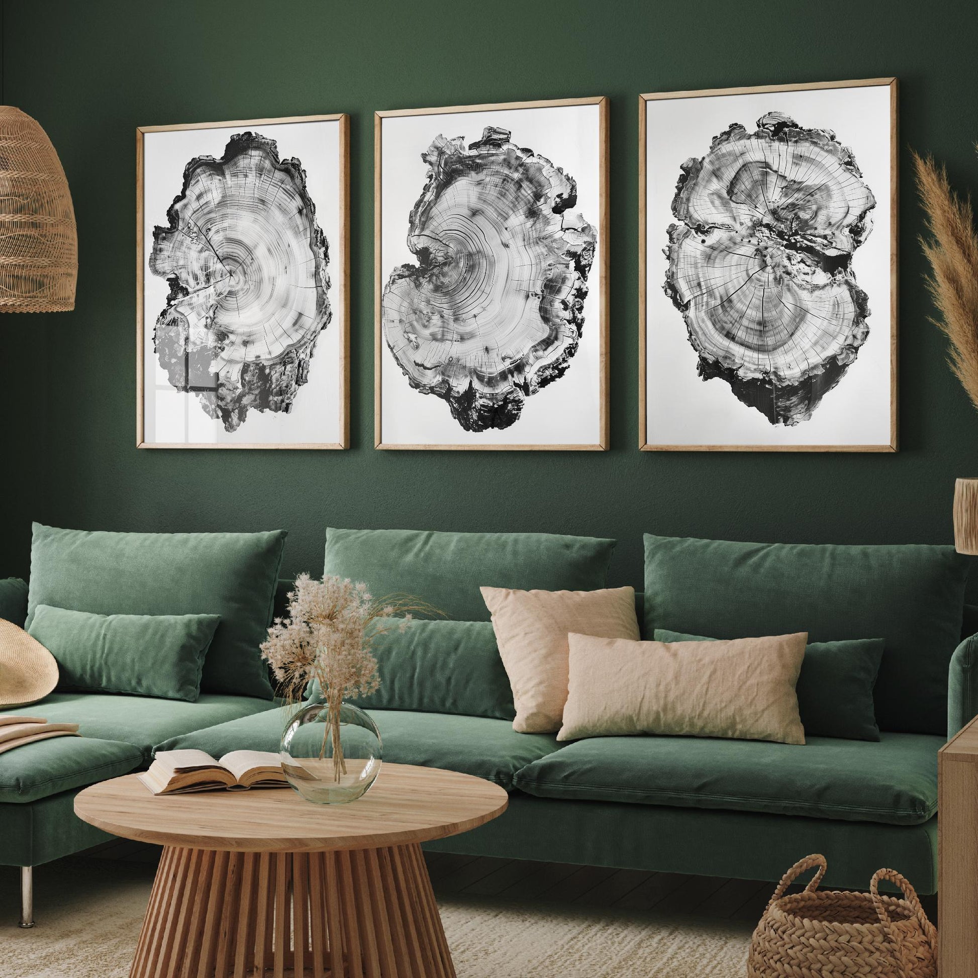 Warped Black and White Tree Ring Set of Three Art Prints Poster Painting Decor